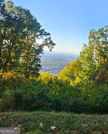 5 Rocky Knob Property Photo 6