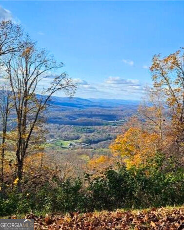 5 Rocky Knob Property Photo 9