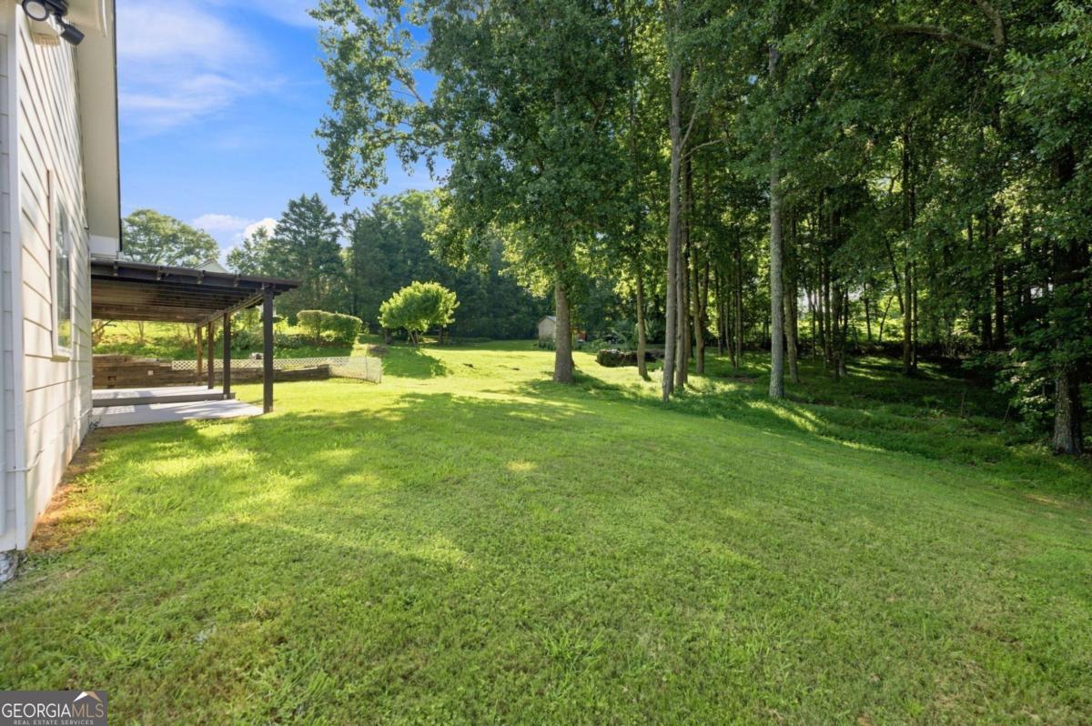 4113 Arbor Chase Road Property Photo 47
