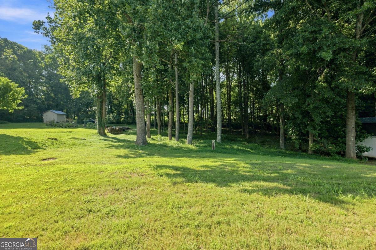 4113 Arbor Chase Road Property Photo 50