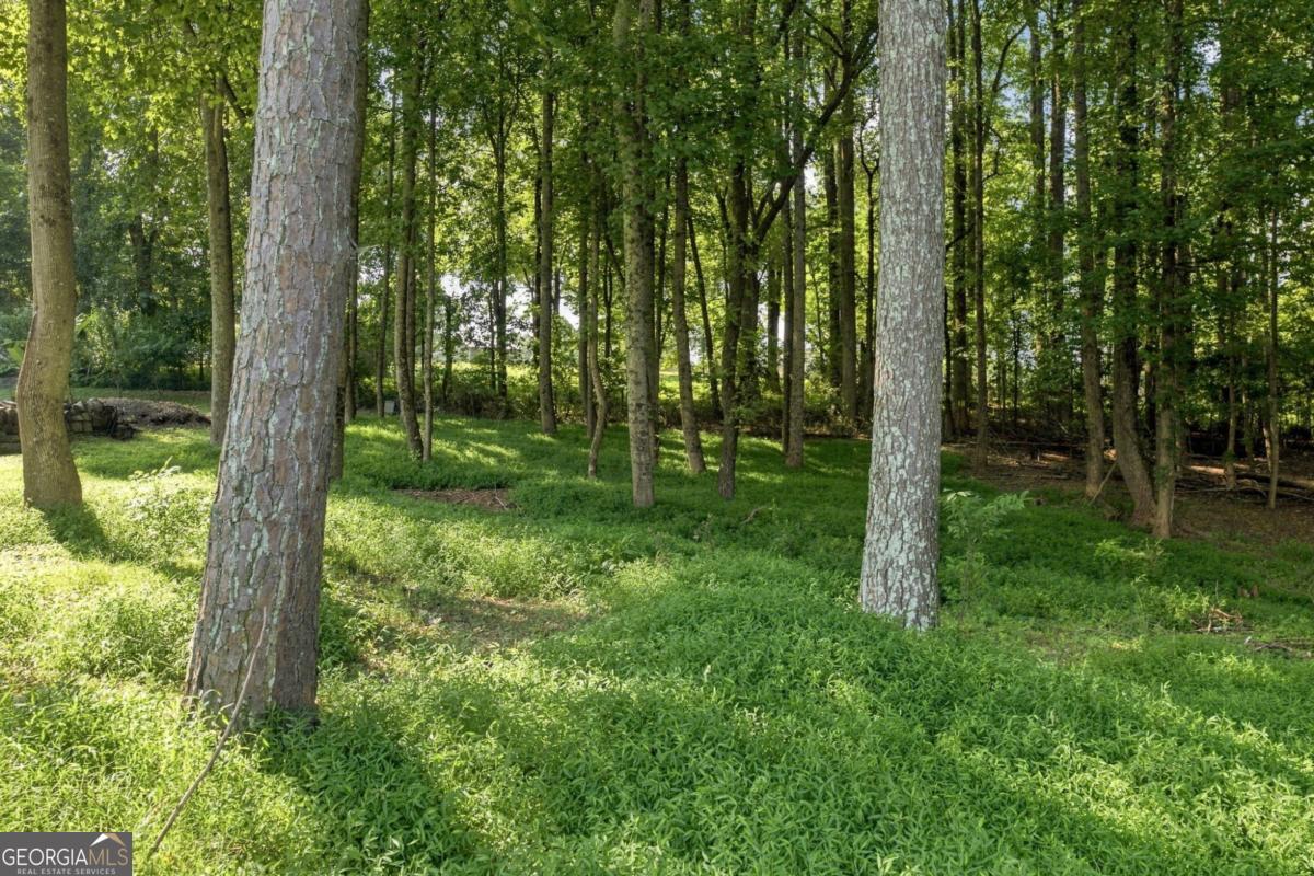4113 Arbor Chase Road Property Photo 52