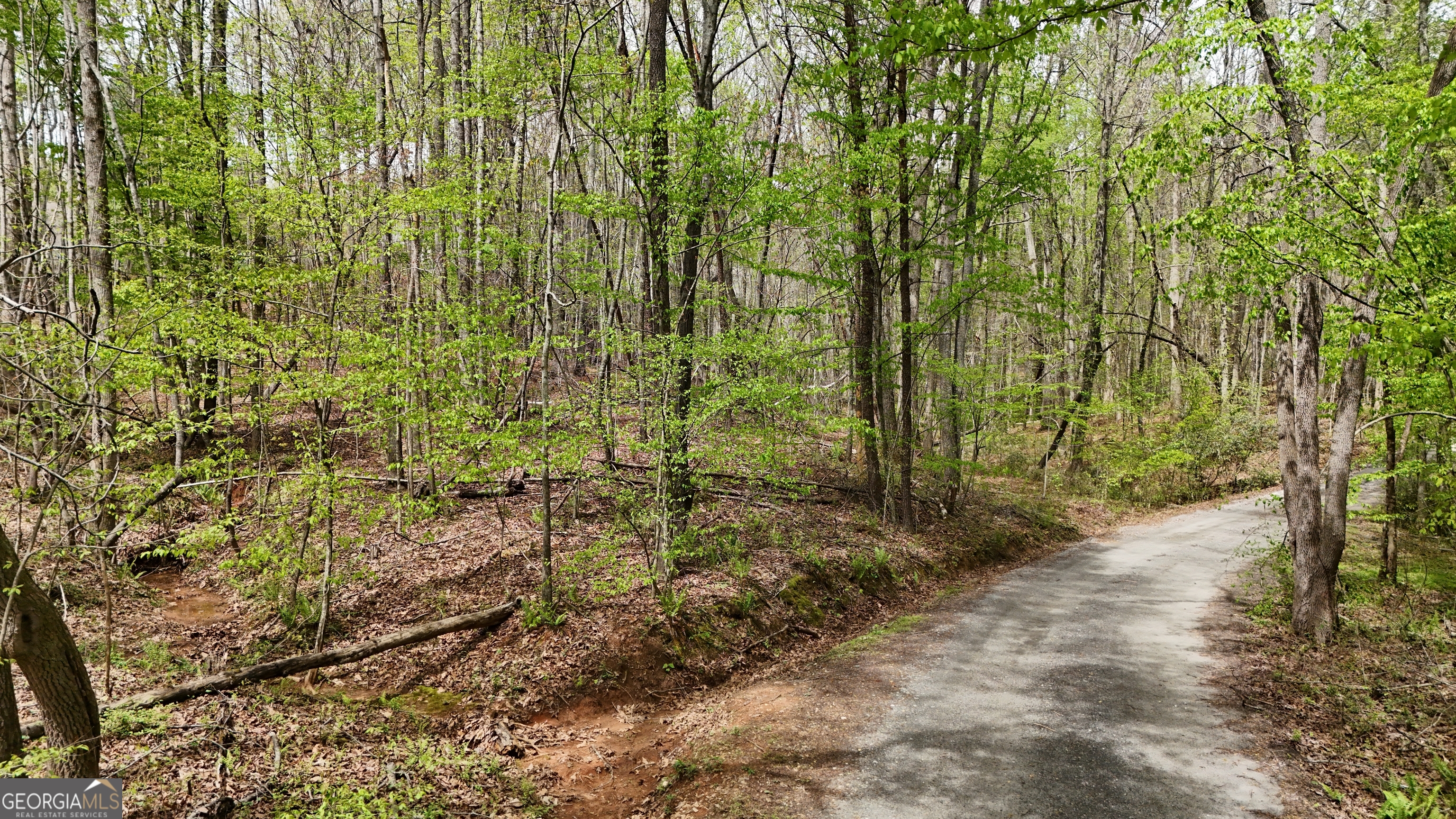 0 Shenandoah Drive