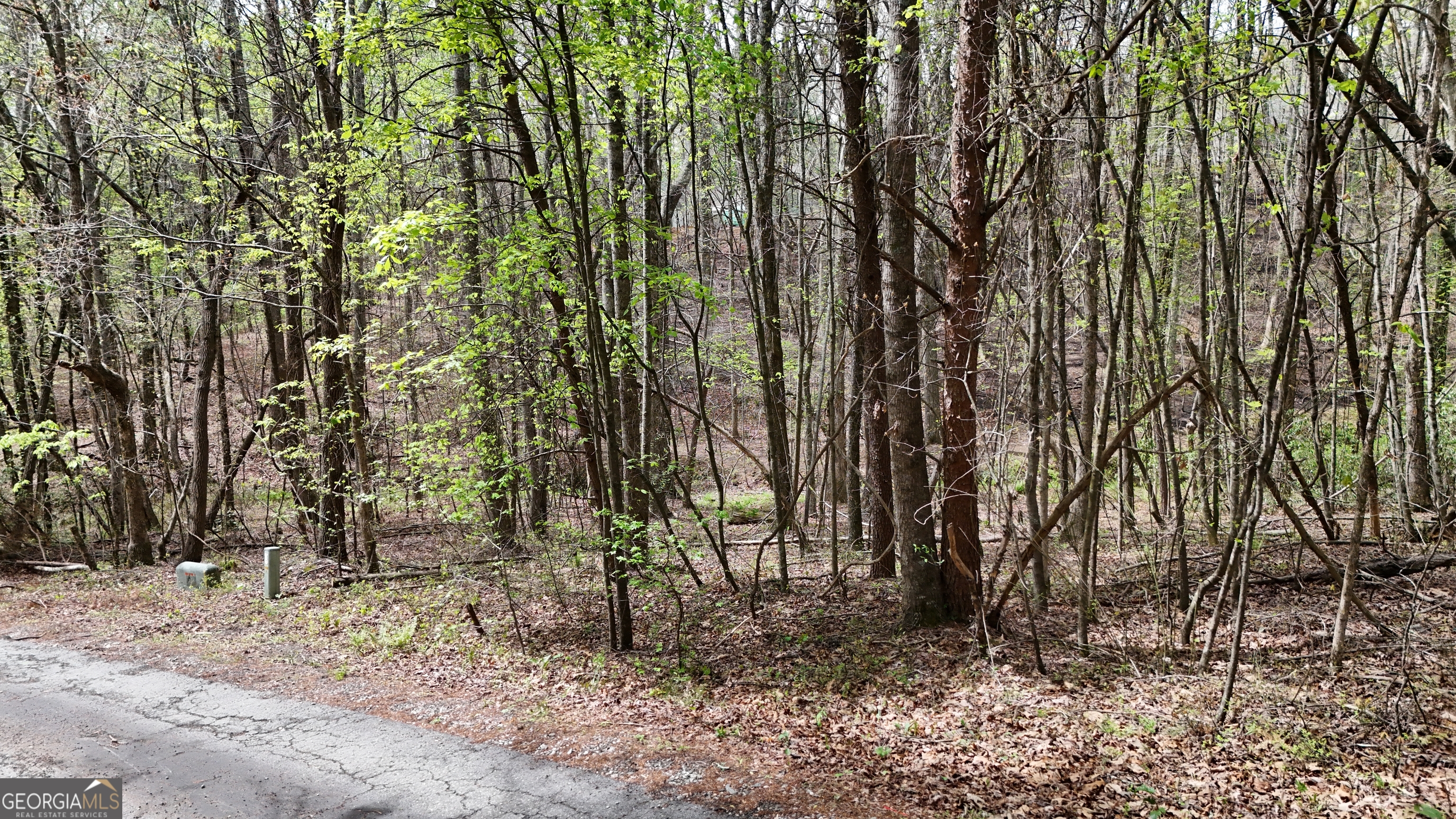 0 Shenandoah Drive Property Photo 2