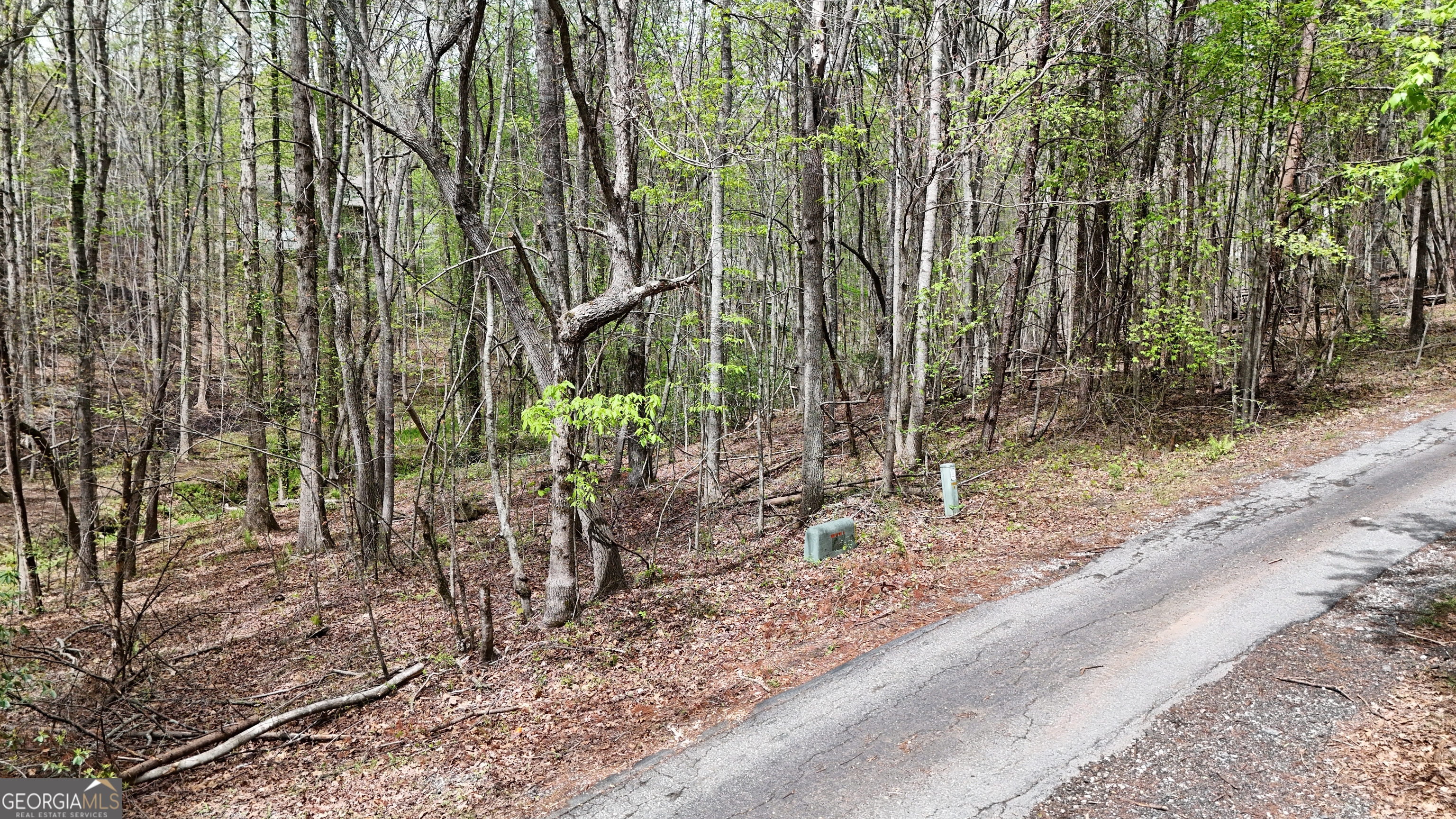 0 Shenandoah Drive Property Photo 3