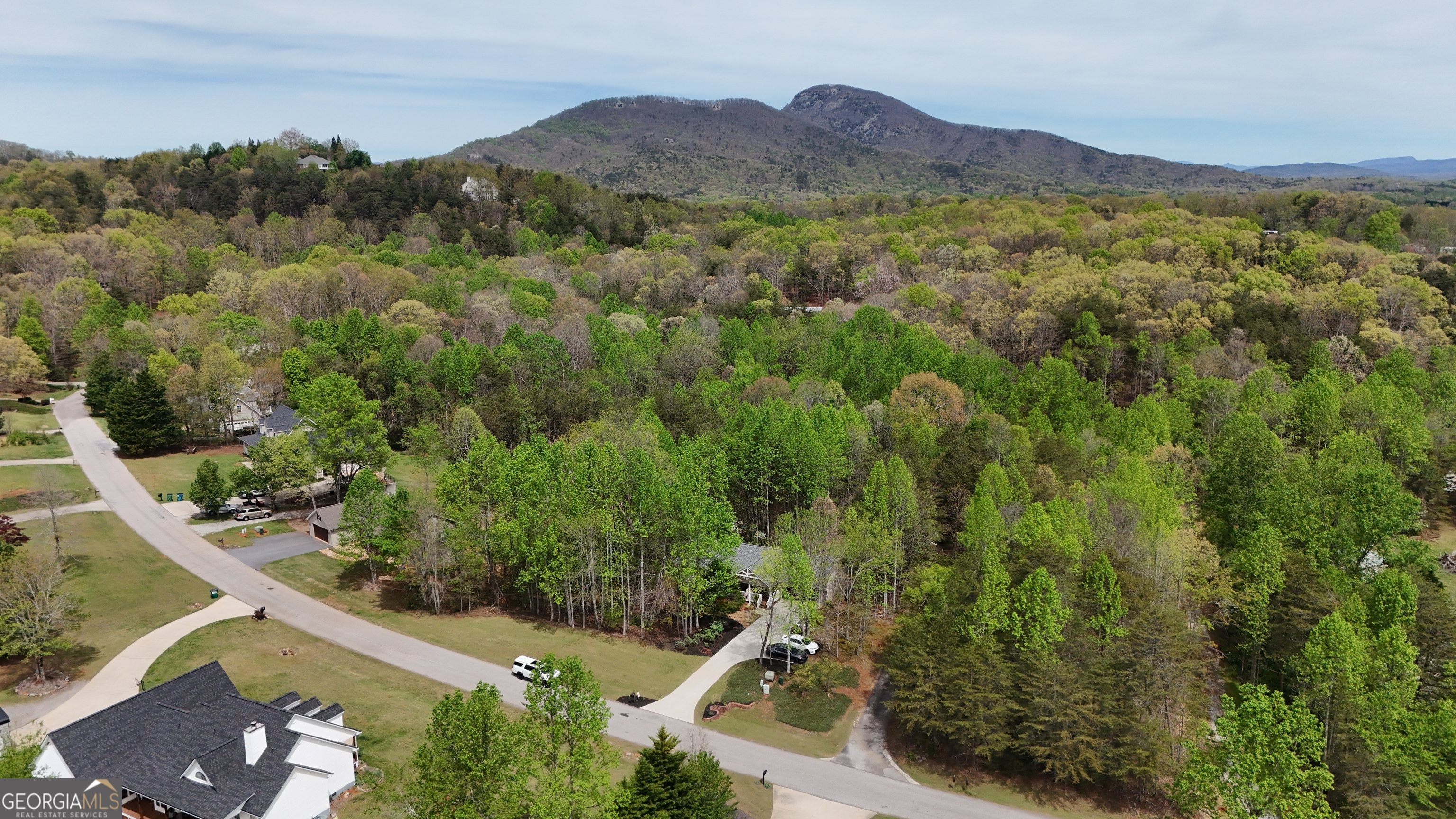 0 Shenandoah Drive Property Photo 9