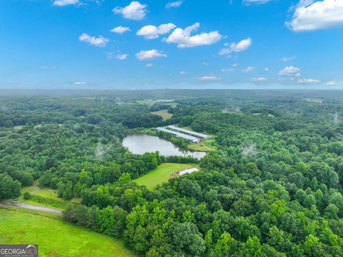397 Reed Brawner Road