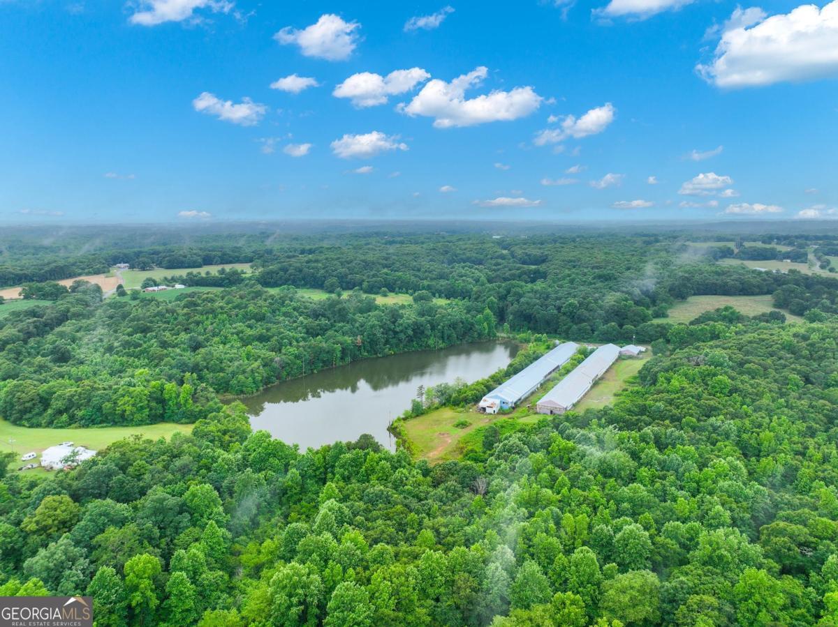 397 Reed Brawner Road Property Photo 27