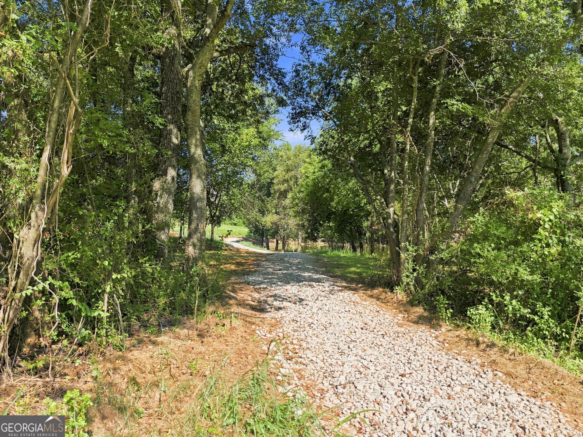 7403 Cartersville Highway Property Photo 2