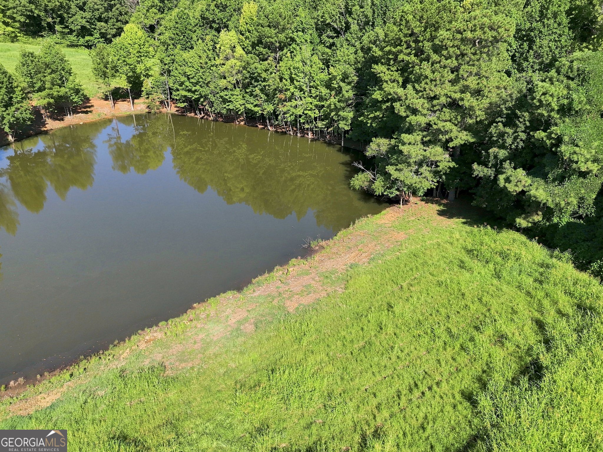 7403 Cartersville Highway Property Photo 9