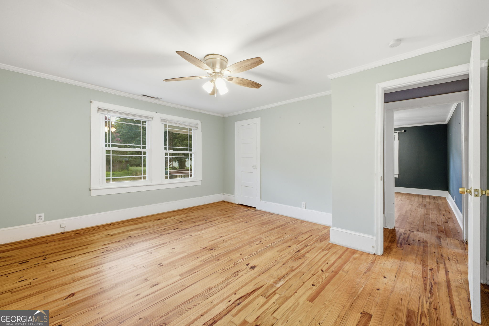 38 Nelson Street Property Photo 27