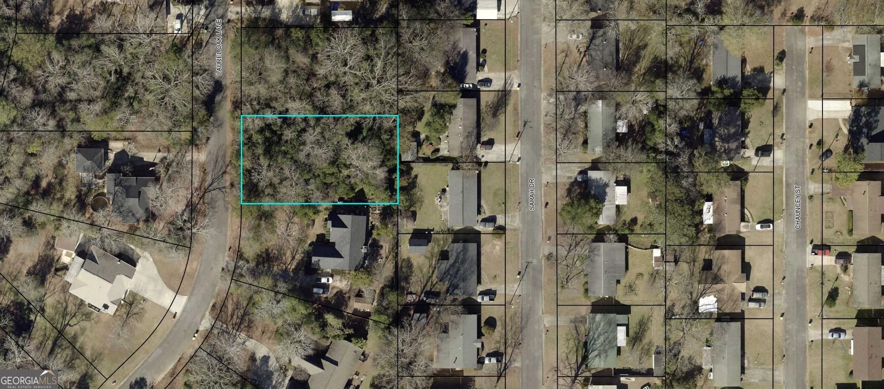 110 Laurel Oak Lane Property Photo 1