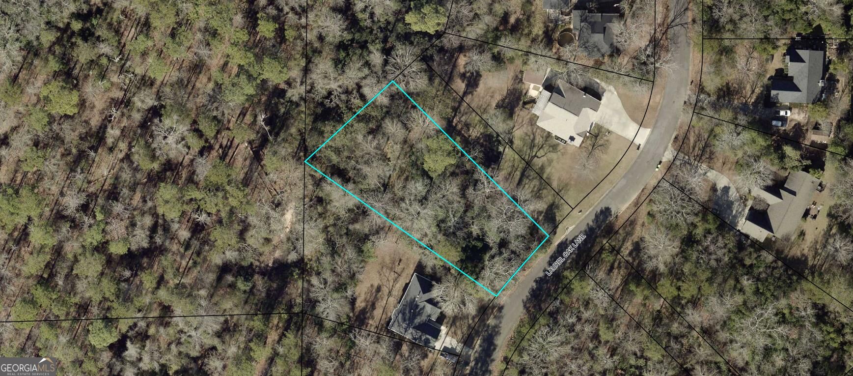 115 Laurel Oak Lane Property Photo 1
