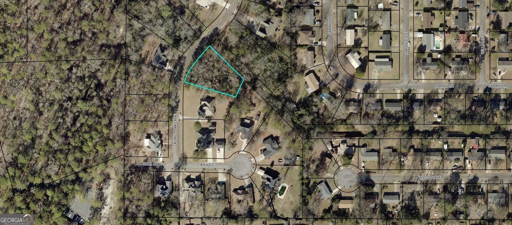 118 Laurel Oak Lane Property Photo 1
