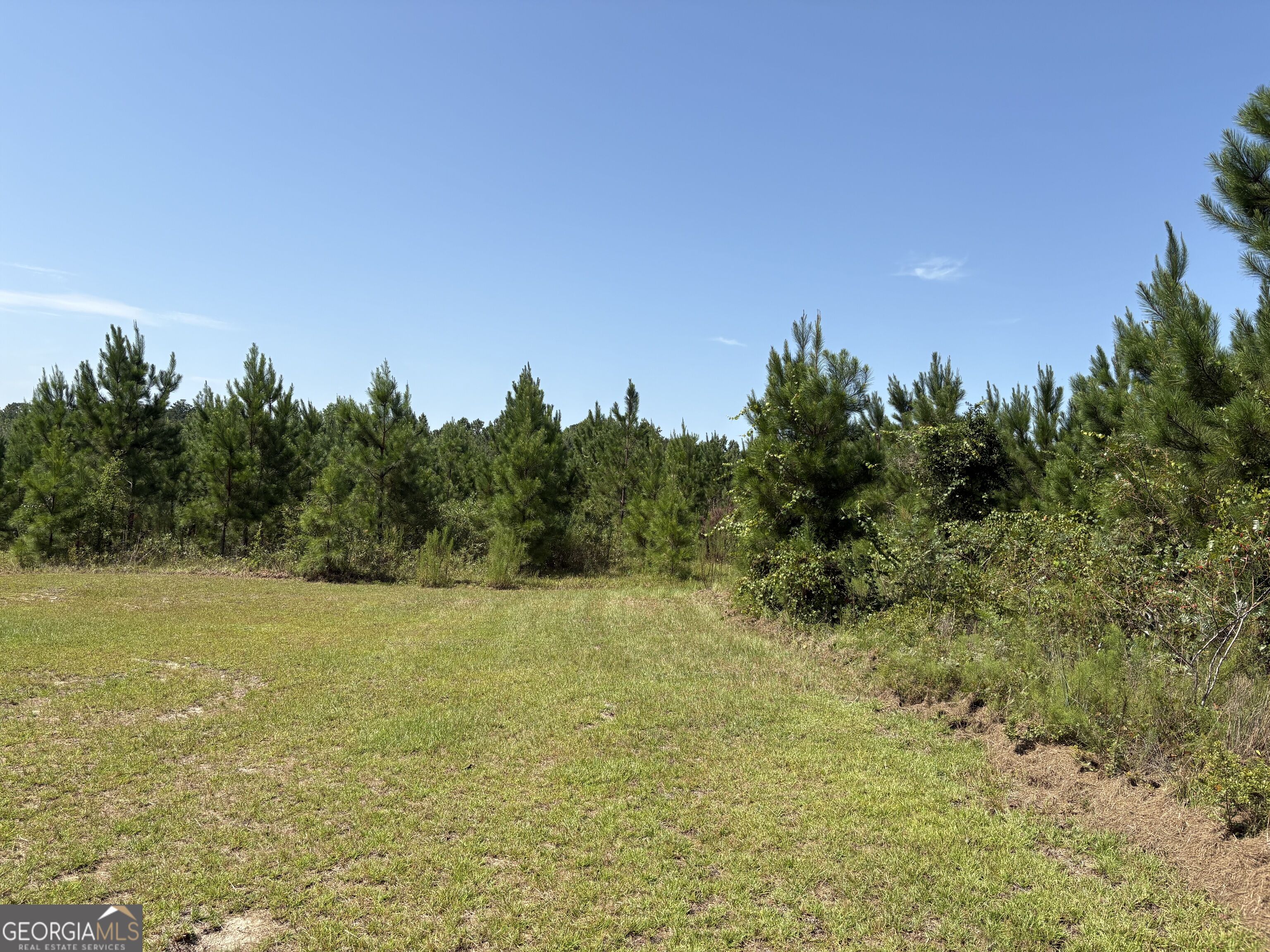 0 Dixon Road Property Photo 1