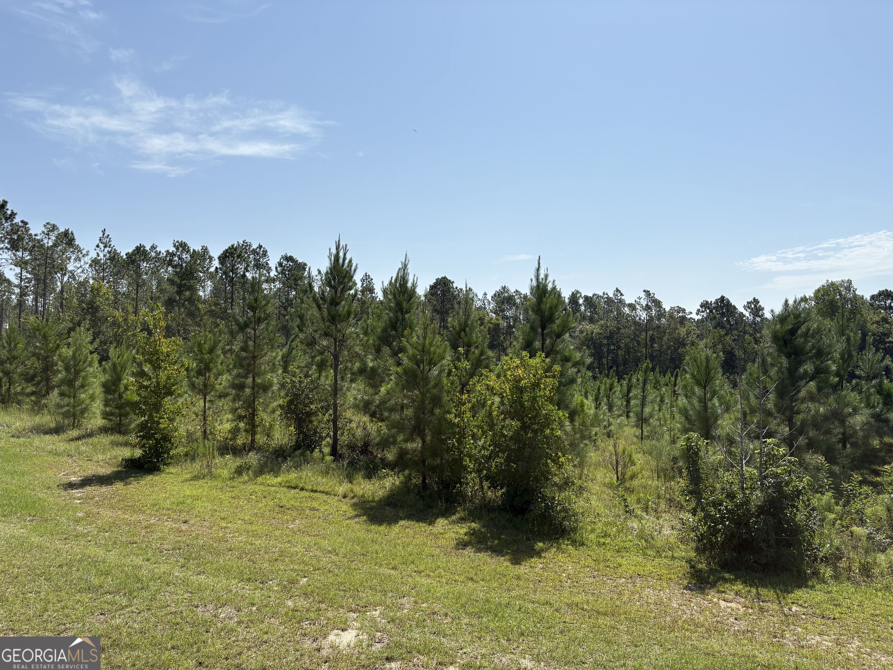0 Dixon Road Property Photo 2
