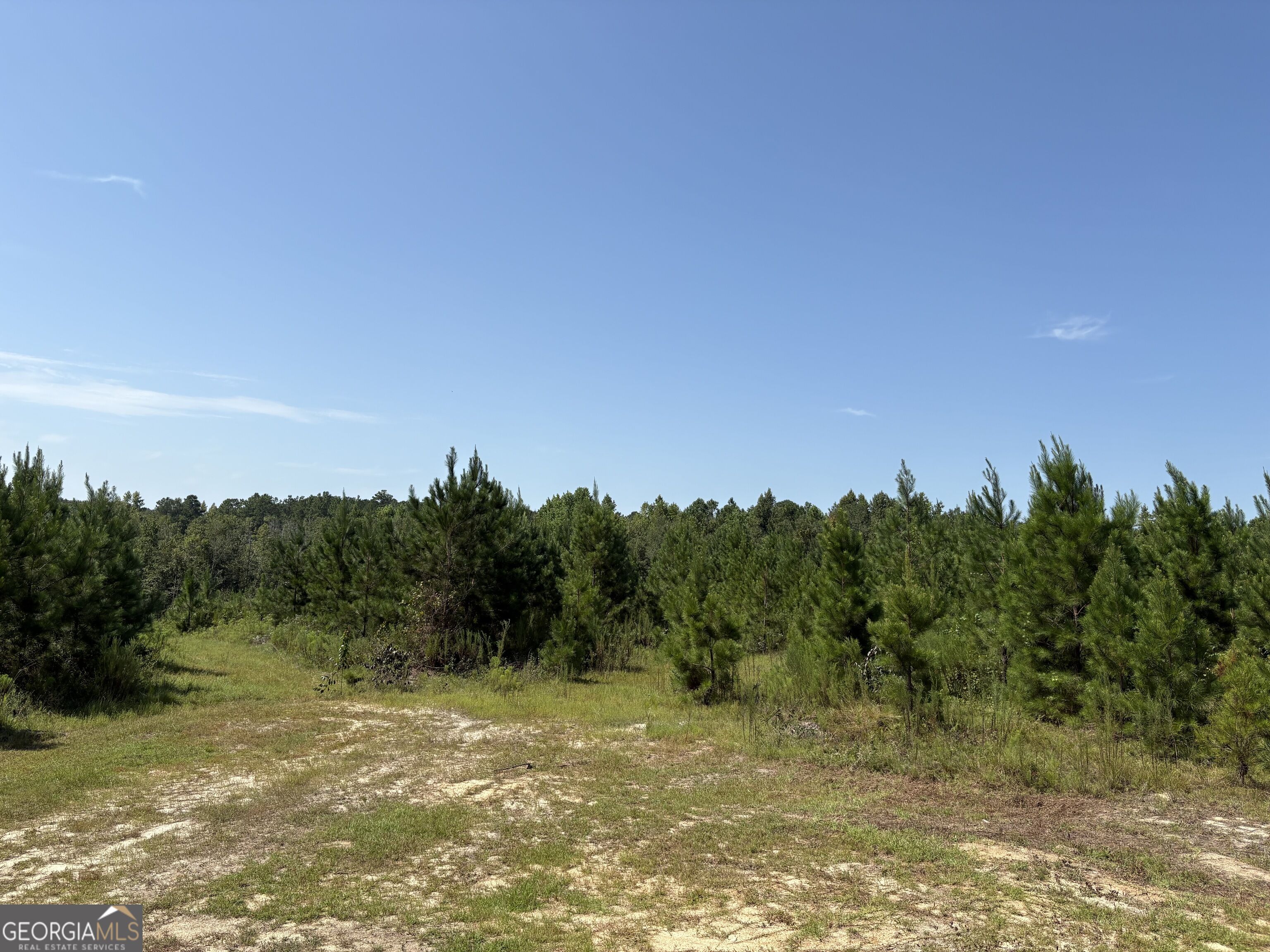 0 Dixon Road Property Photo 10