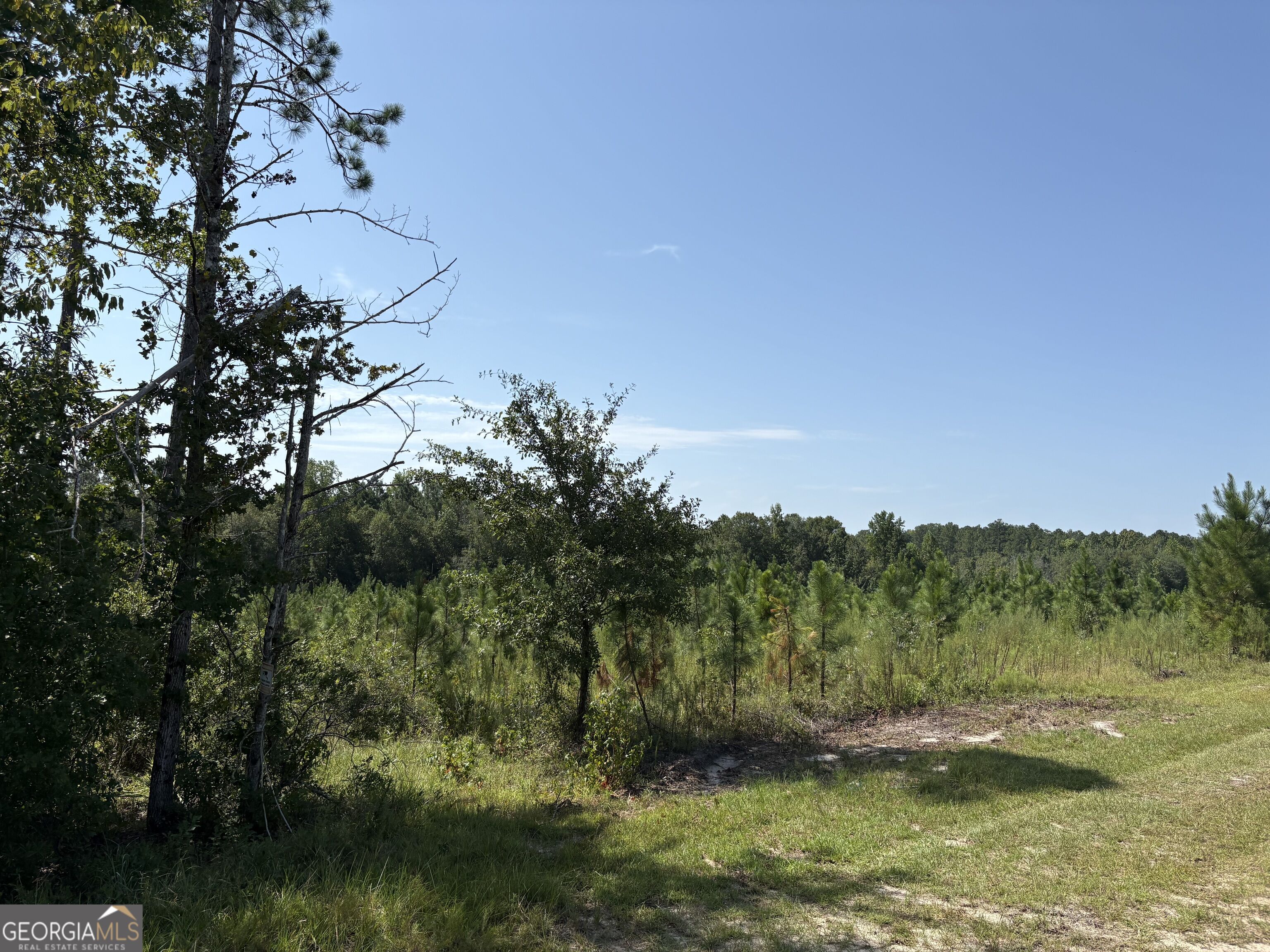 0 Dixon Road Property Photo 15