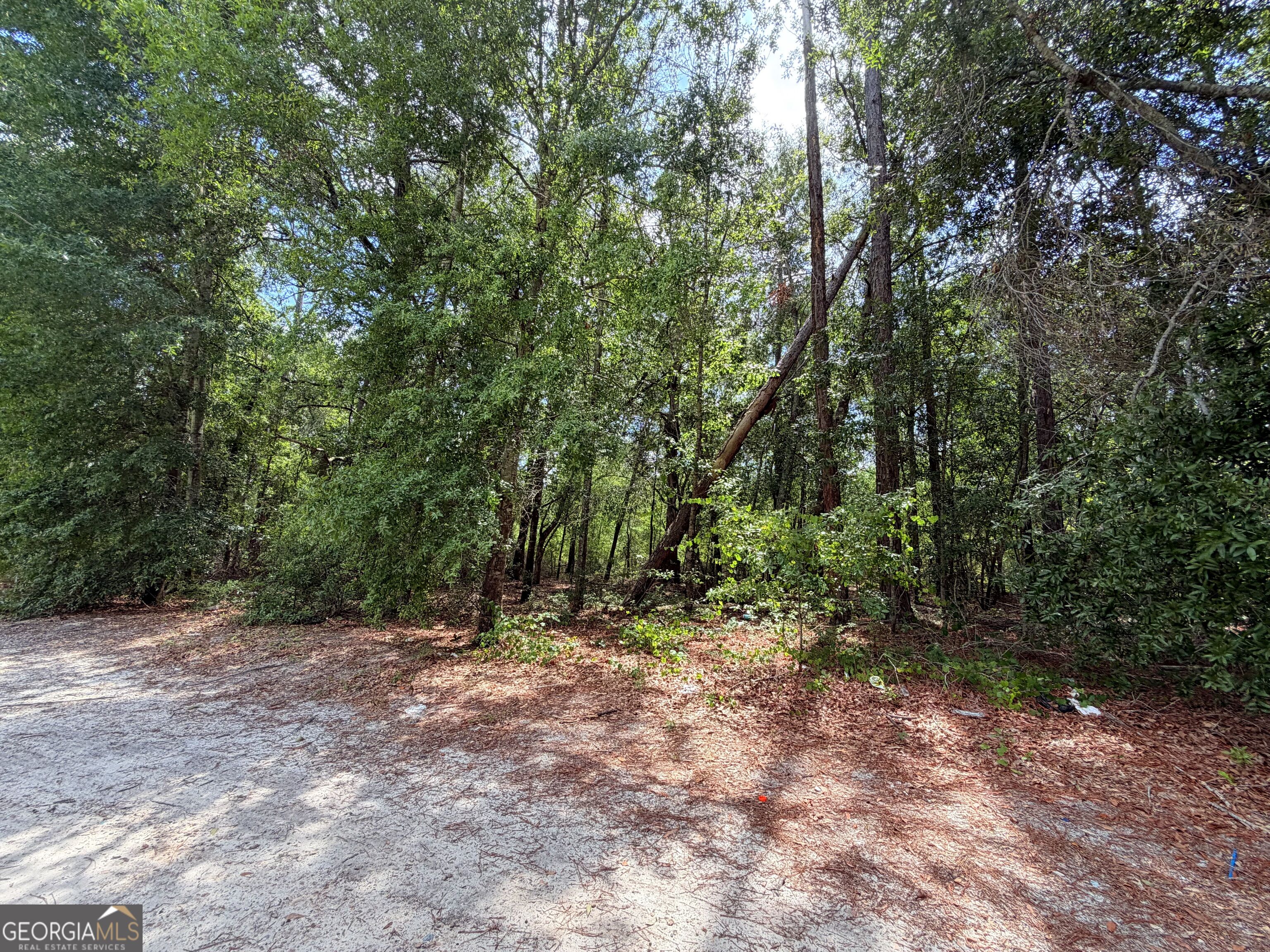 0 Lakeview Drive Property Photo 2