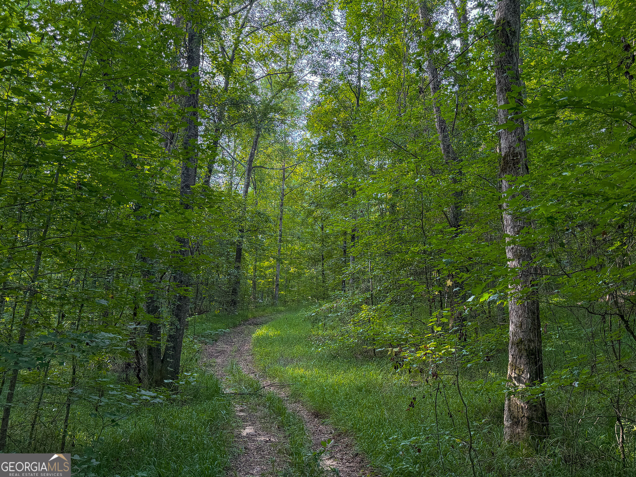 1709 Poplar Ridge Road Property Photo 3