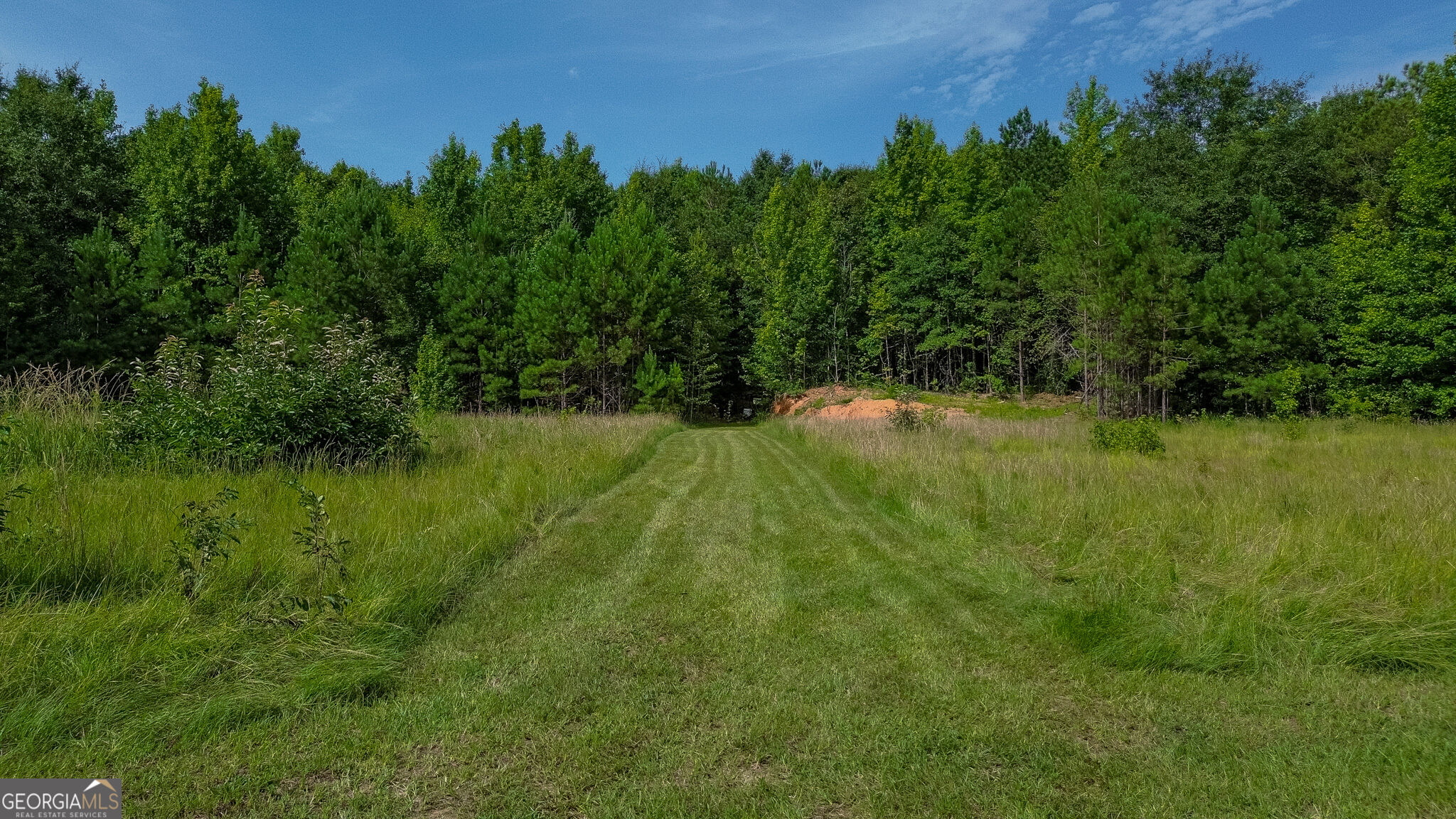 1709 Poplar Ridge Road Property Photo 4