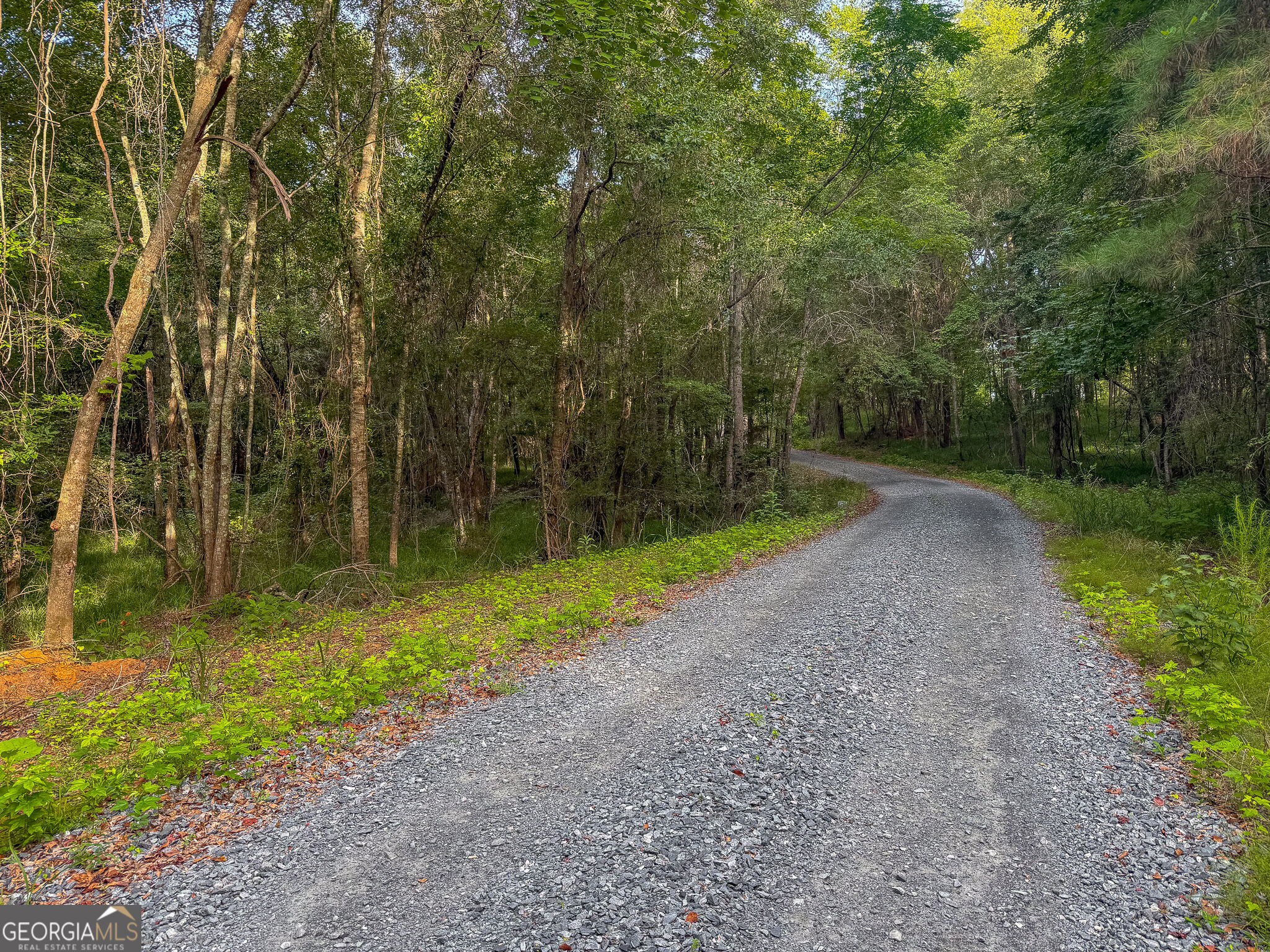 1709 Poplar Ridge Road Property Photo 5