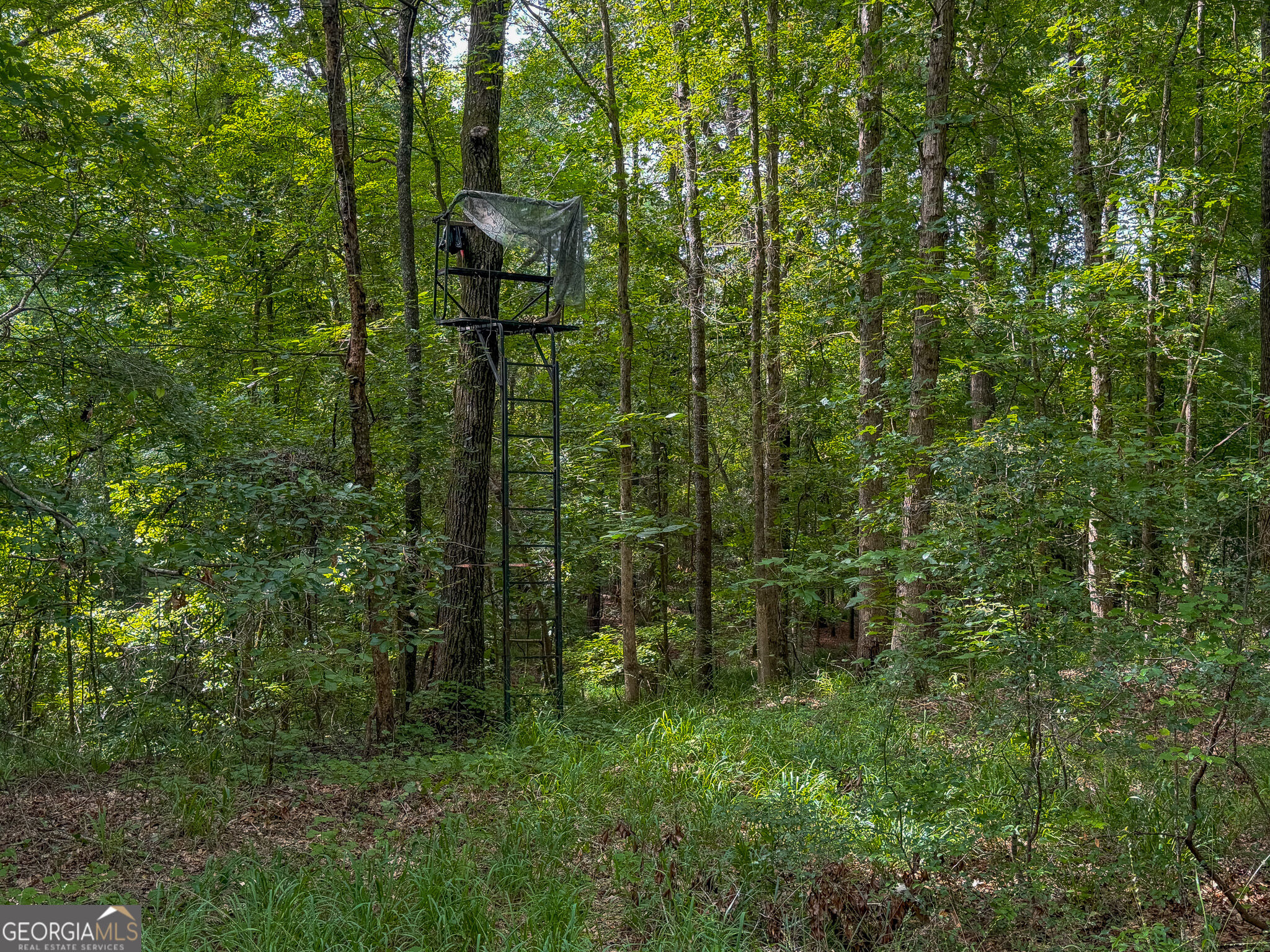 1709 Poplar Ridge Road Property Photo 53