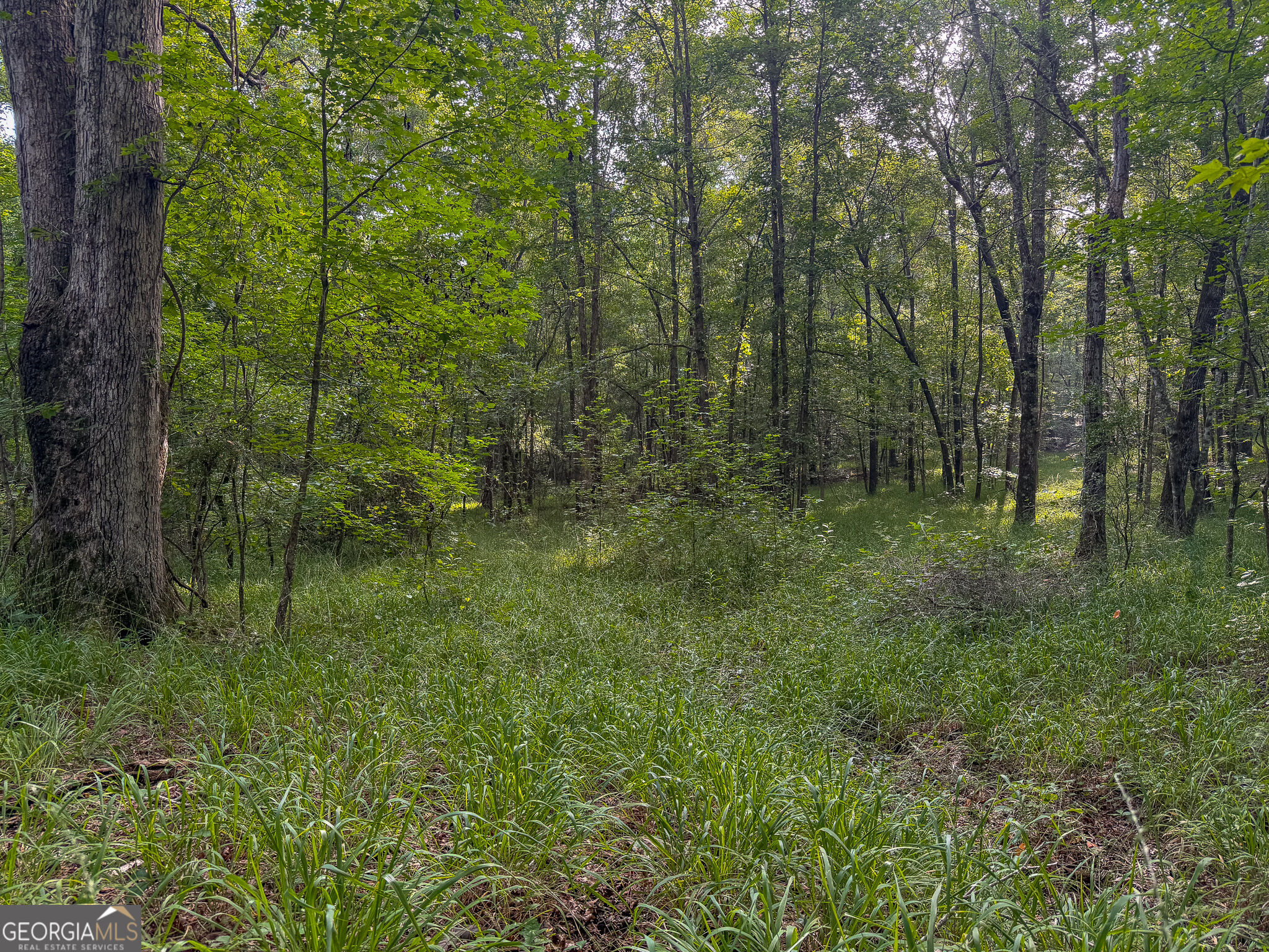 1709 Poplar Ridge Road Property Photo 54