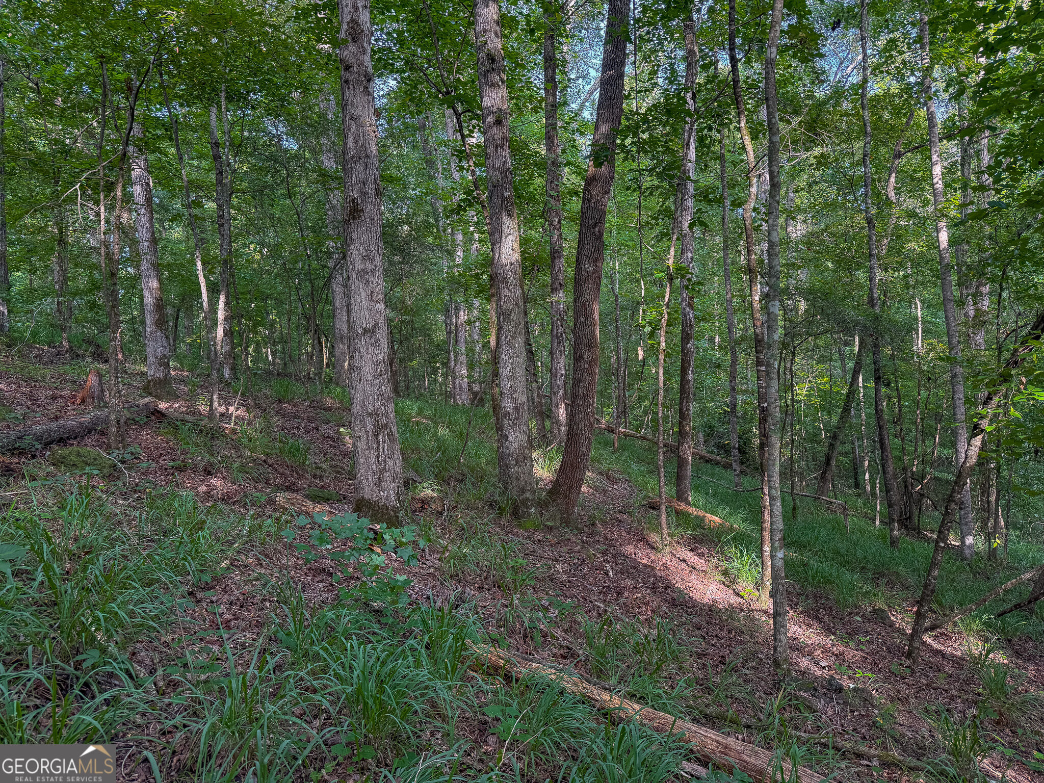 1709 Poplar Ridge Road Property Photo 56