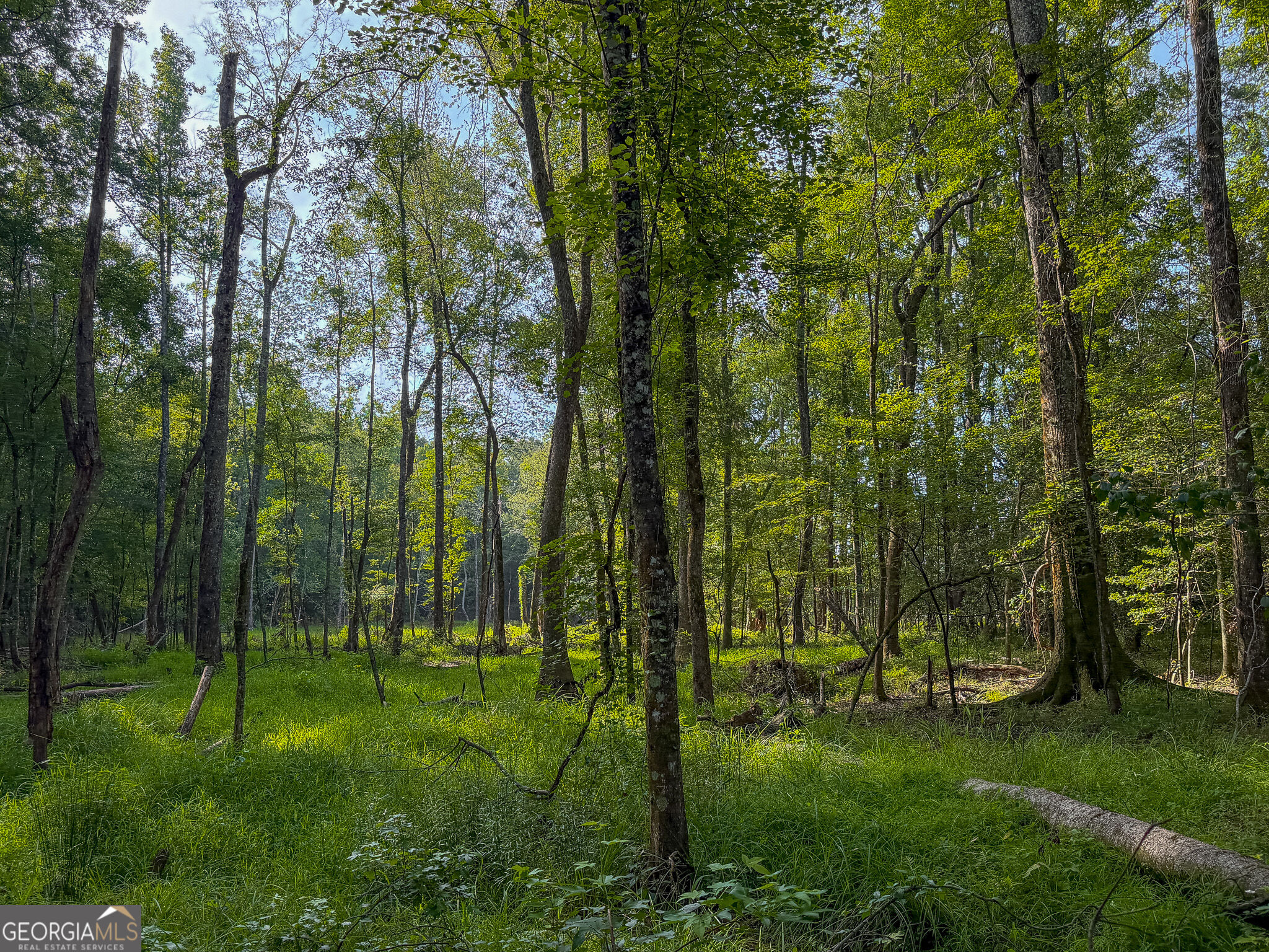 1709 Poplar Ridge Road Property Photo 57