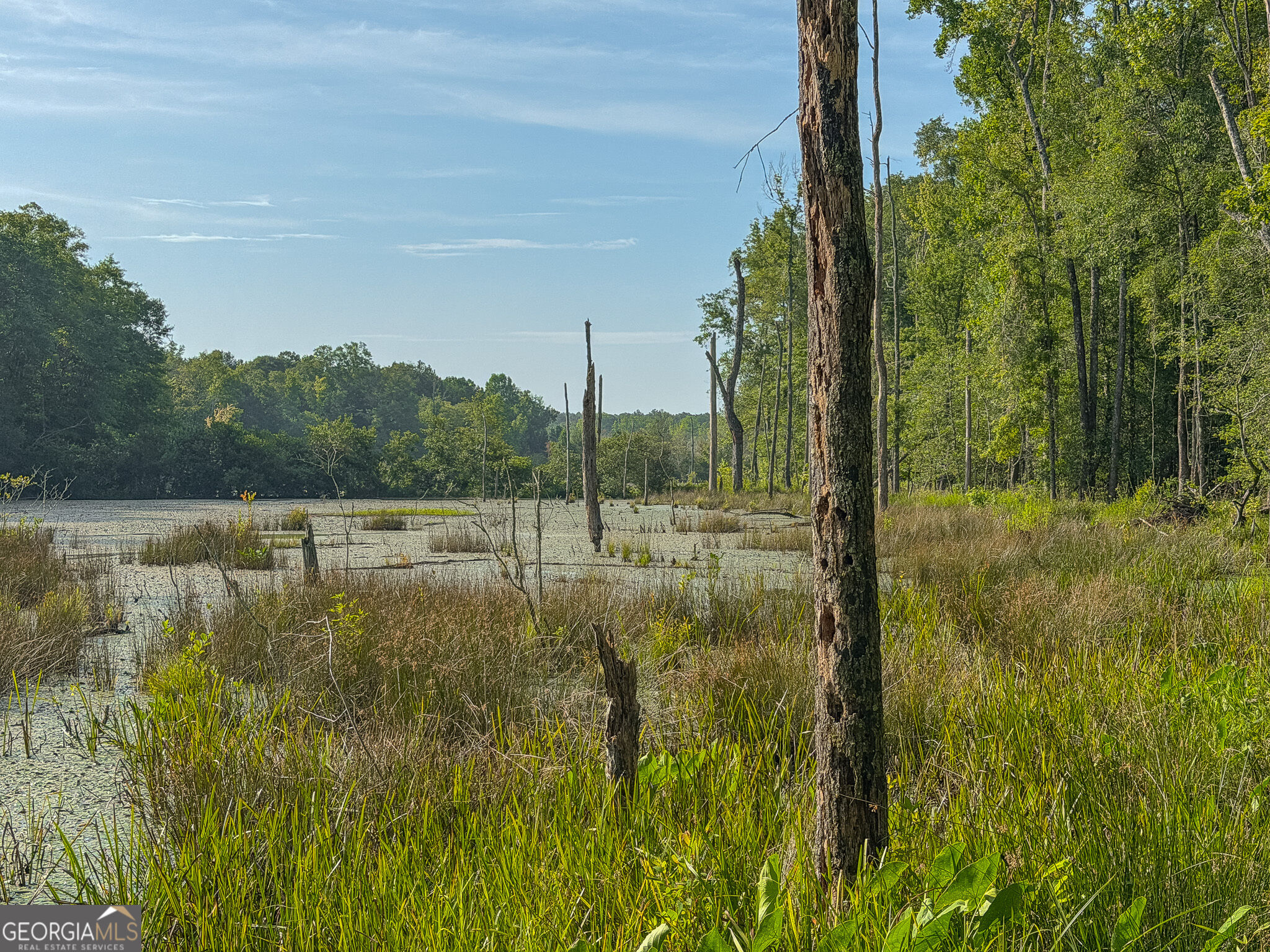 1709 Poplar Ridge Road Property Photo 58