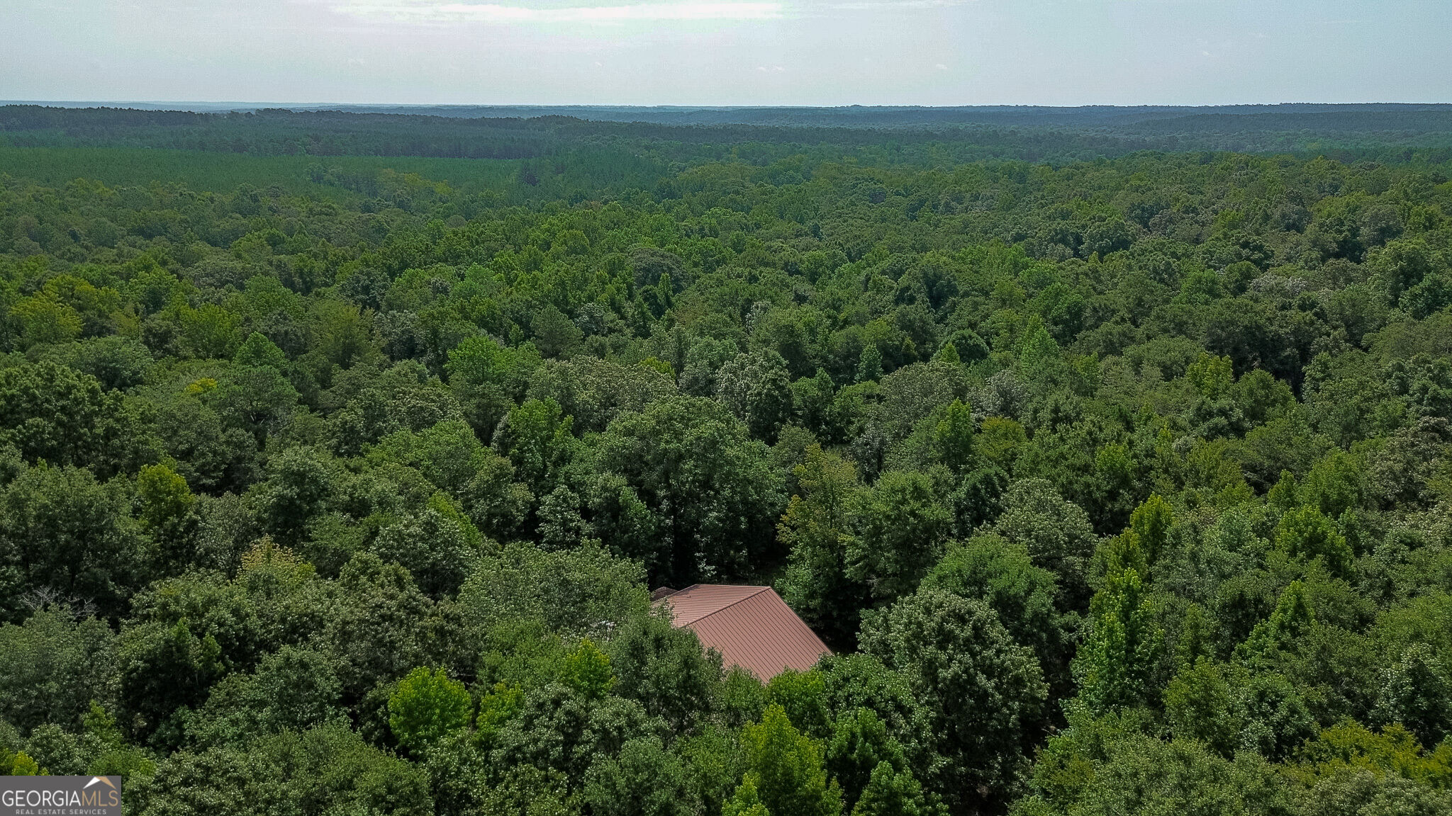 1709 Poplar Ridge Road Property Photo 61