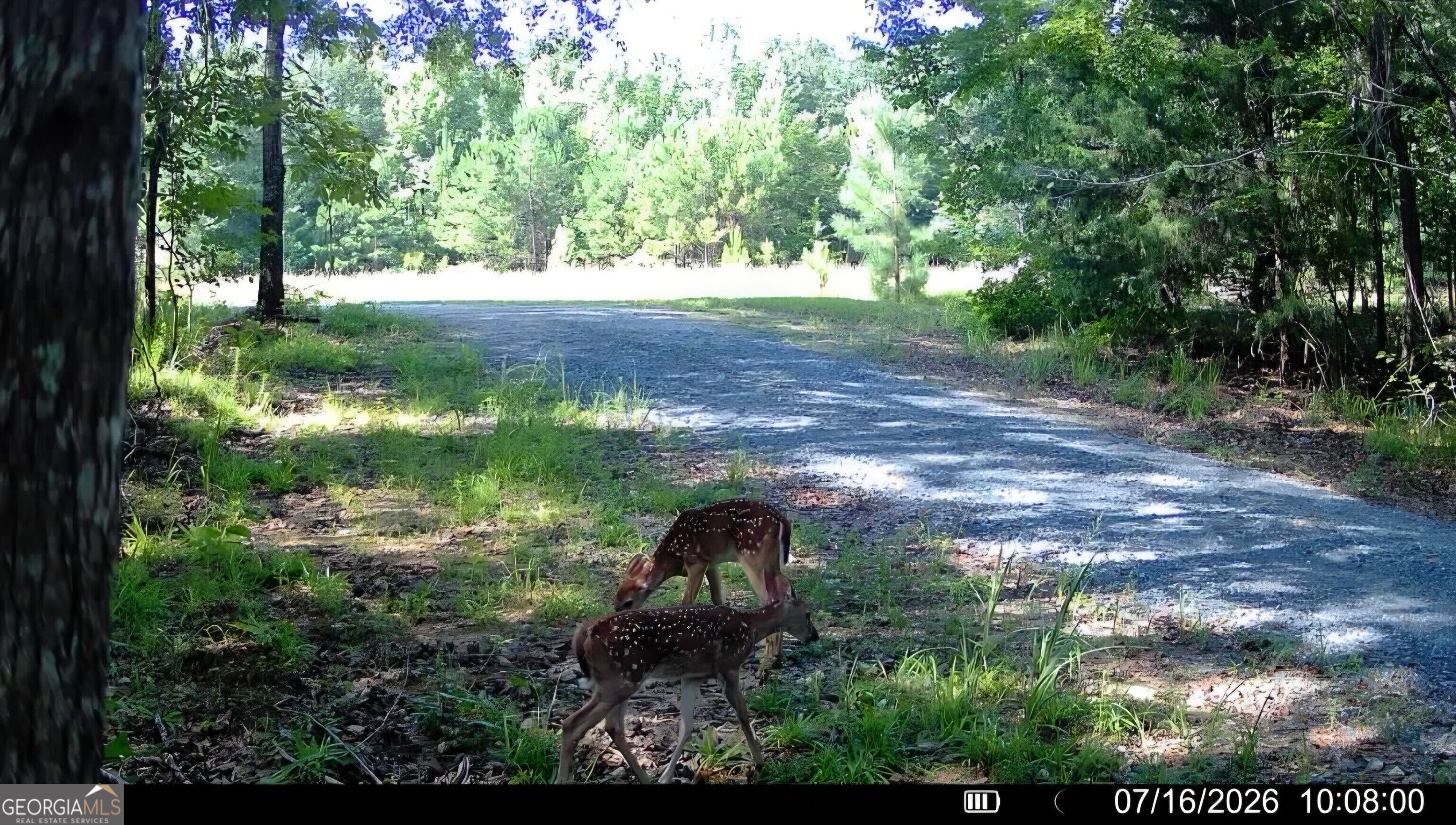 1709 Poplar Ridge Road Property Photo 62