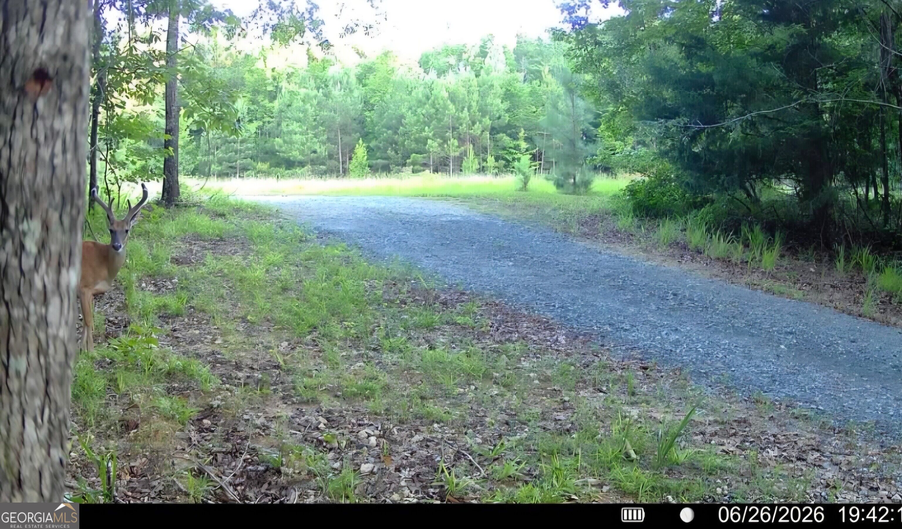 1709 Poplar Ridge Road Property Photo 63