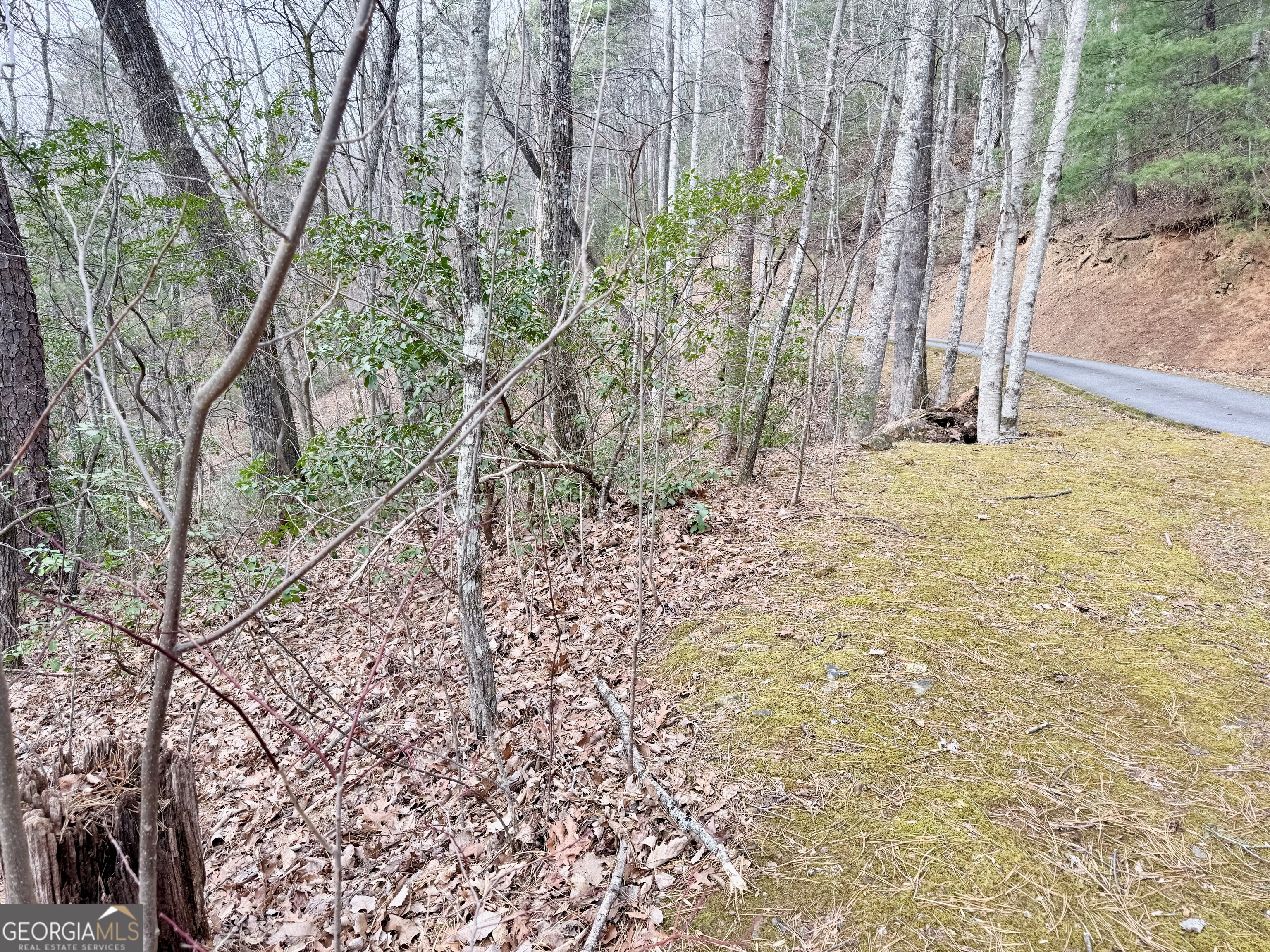 0 Monarch Lane Property Photo 3