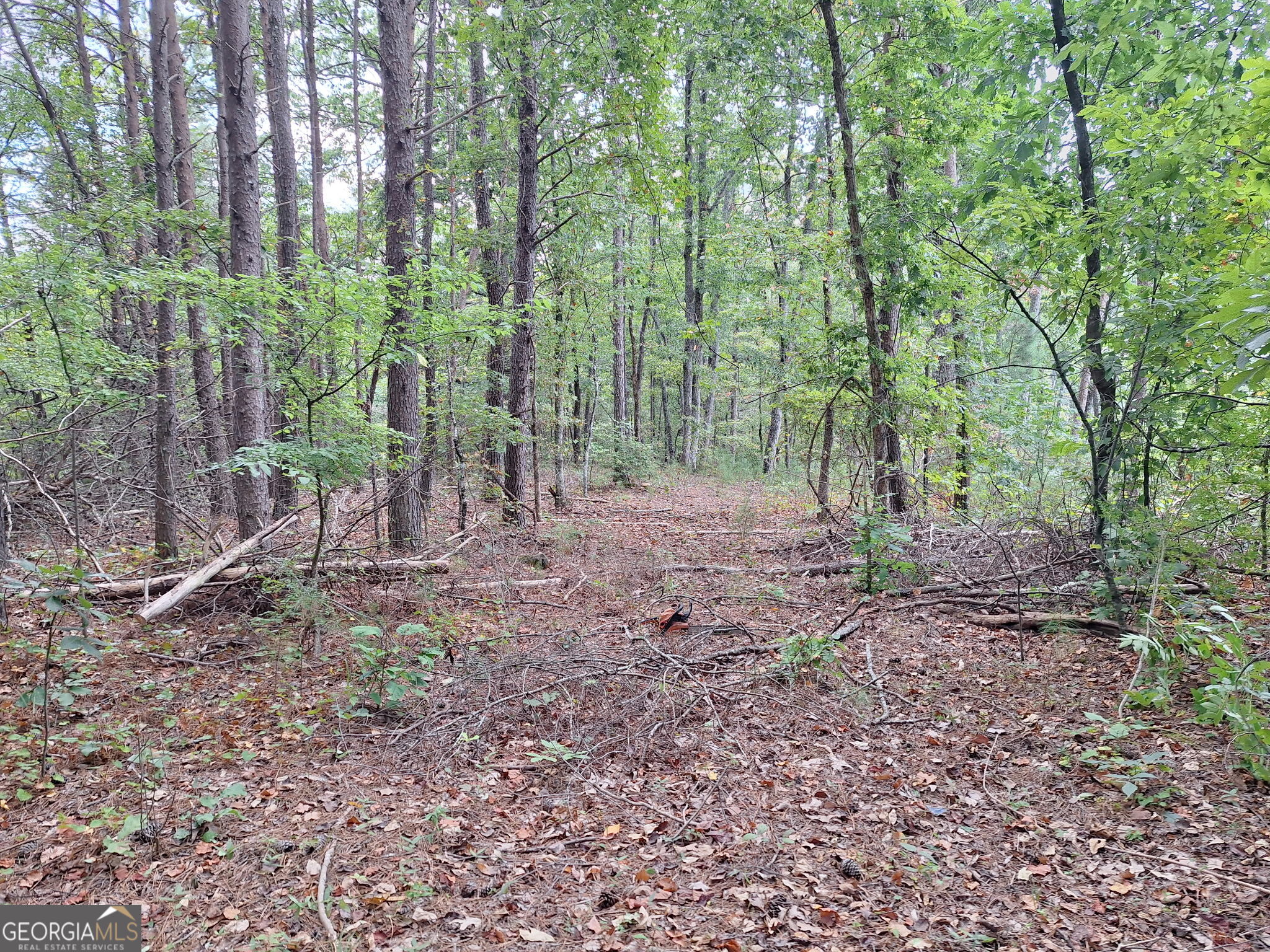 0 Highland Tree Court Property Photo 1