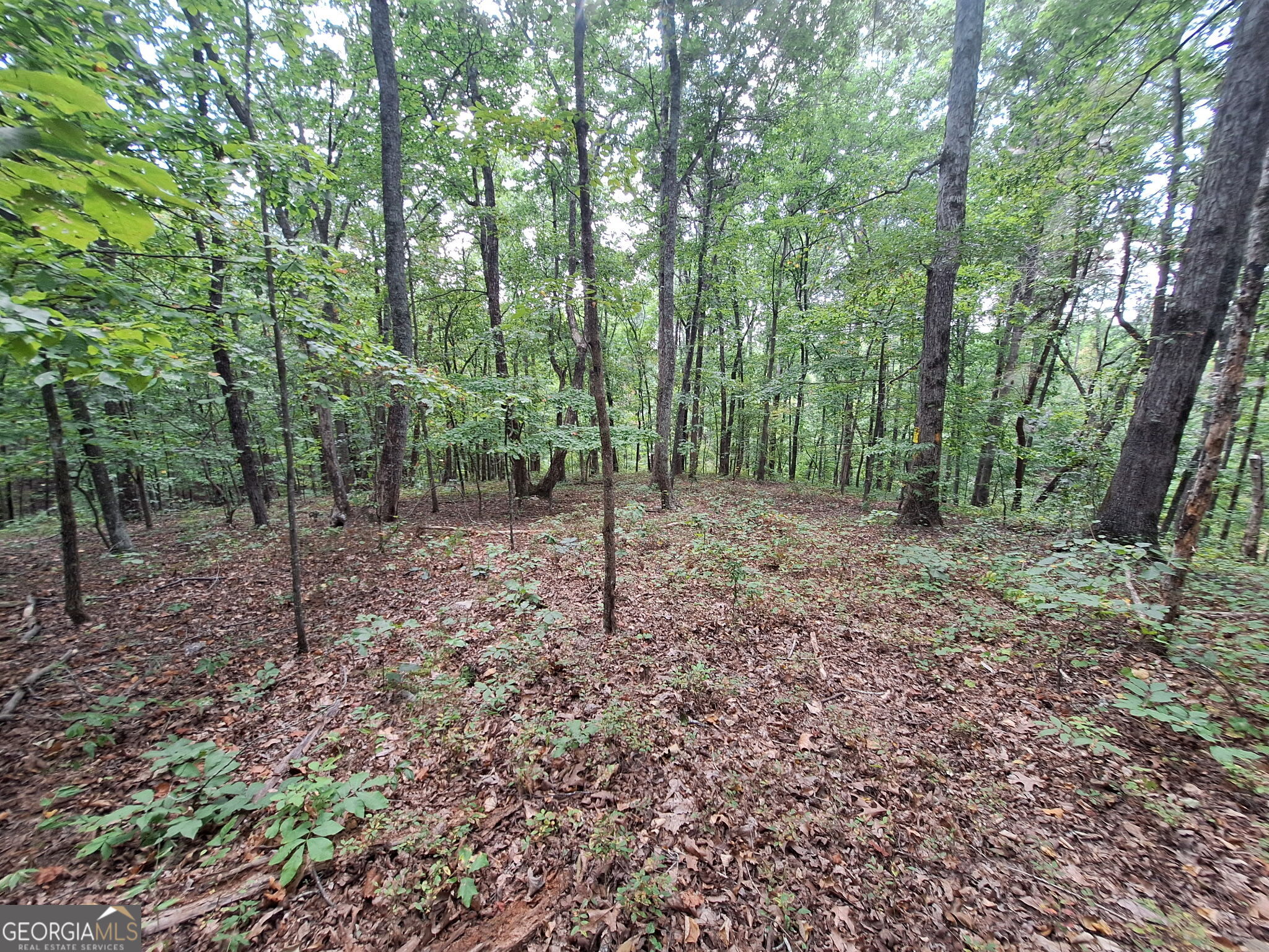 0 Highland Tree Court Property Photo 2