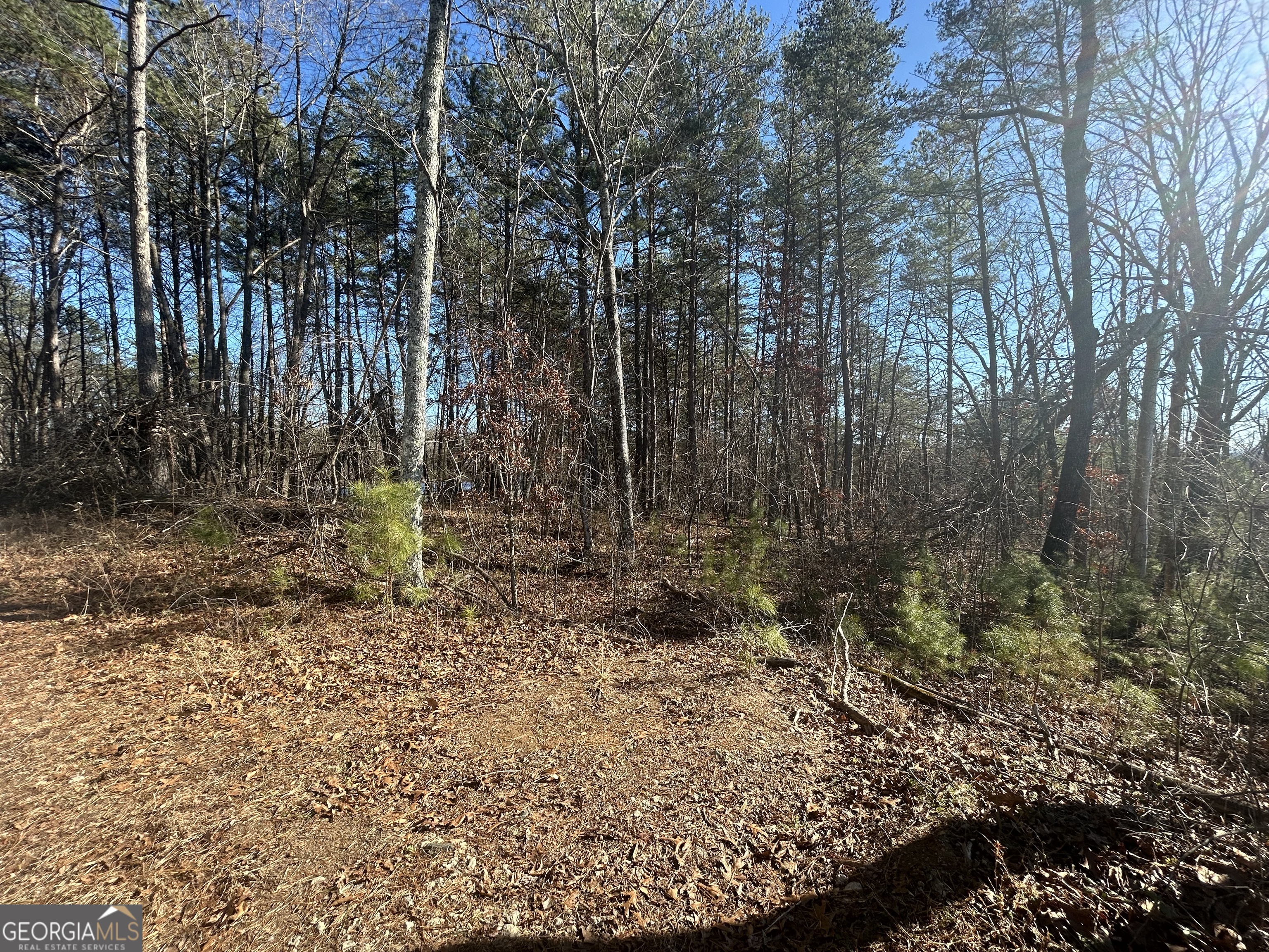 0 Highland Tree Court Property Photo 4