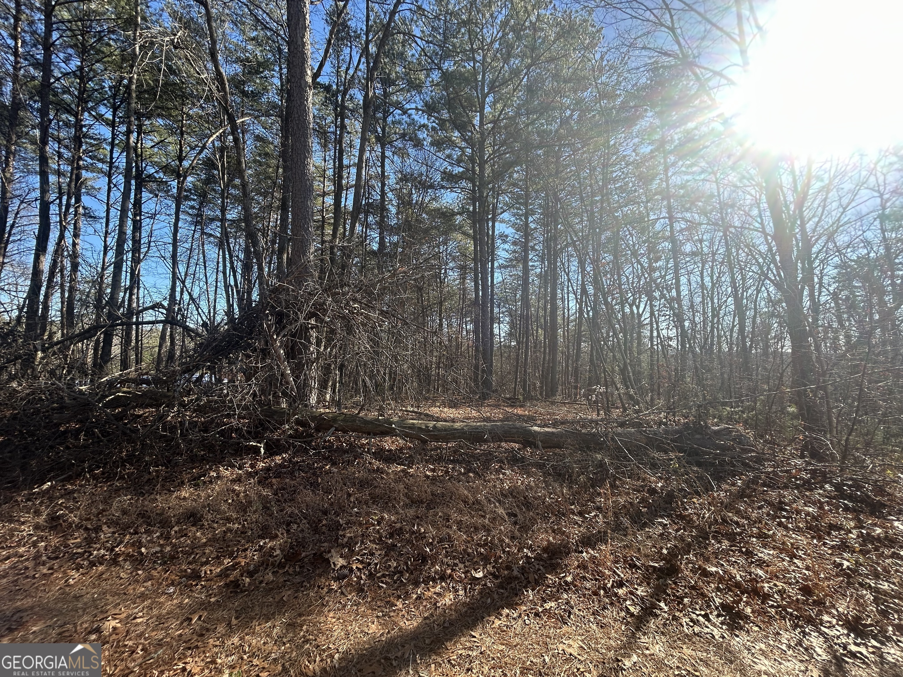 0 Highland Tree Court Property Photo 6