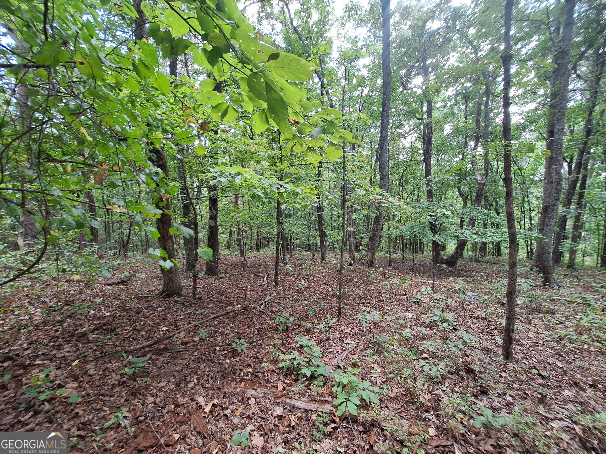 0 Highland Tree Court Property Photo 7