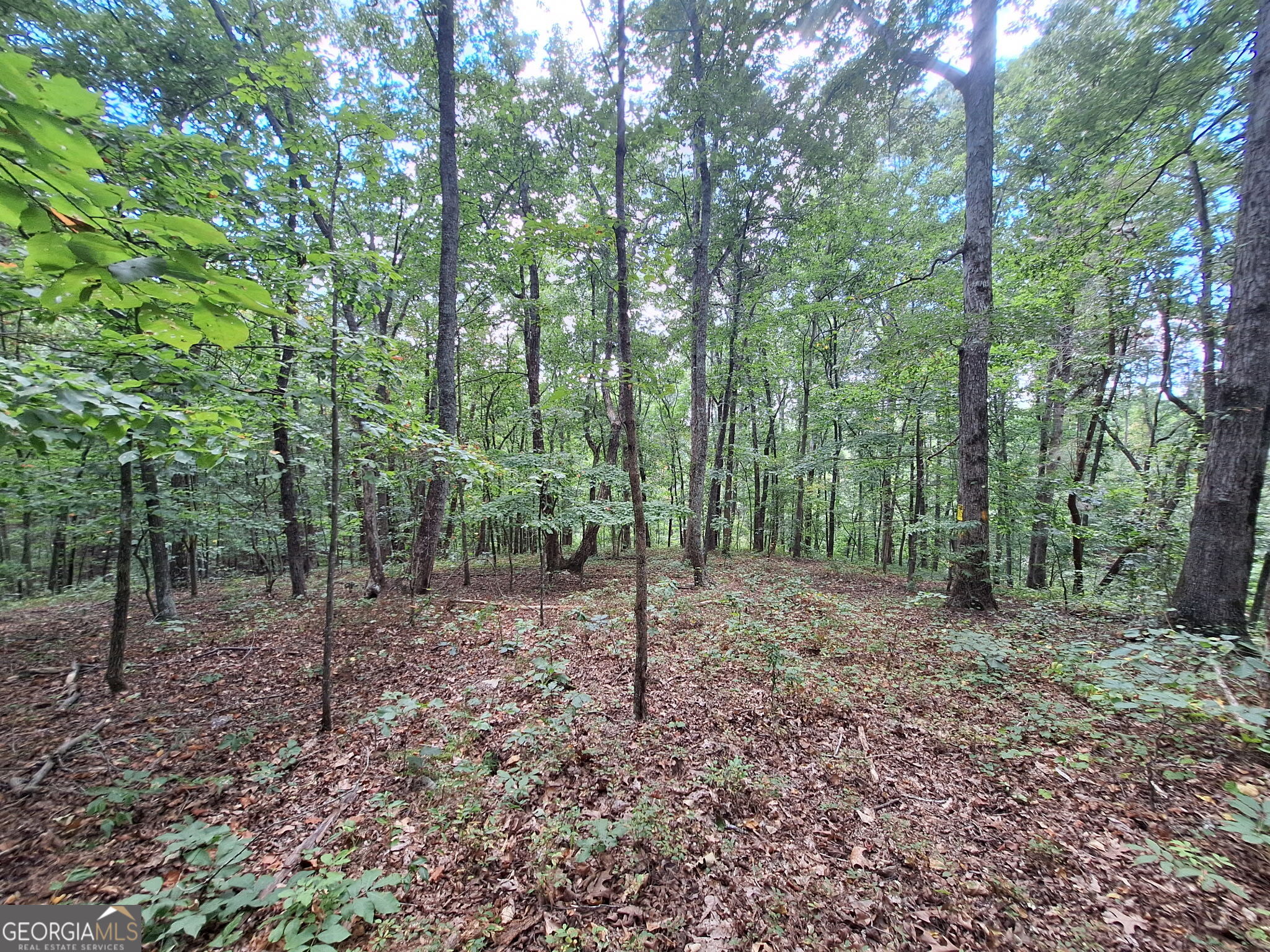 0 Highland Tree Court Property Photo 8