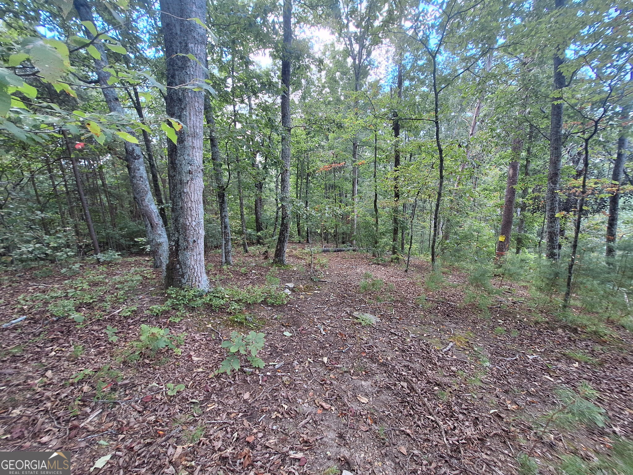 0 Highland Tree Court Property Photo 9