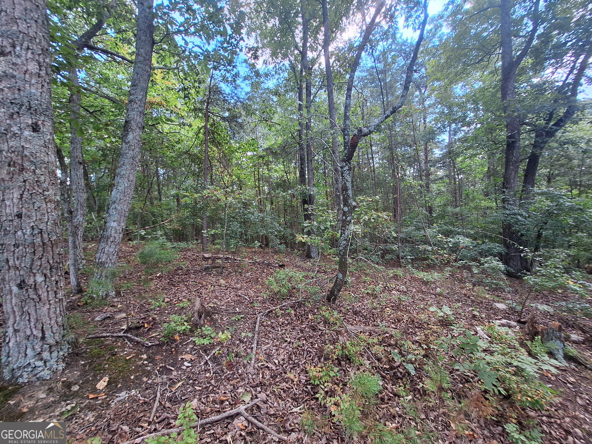 0 Highland Tree Court Property Photo 10