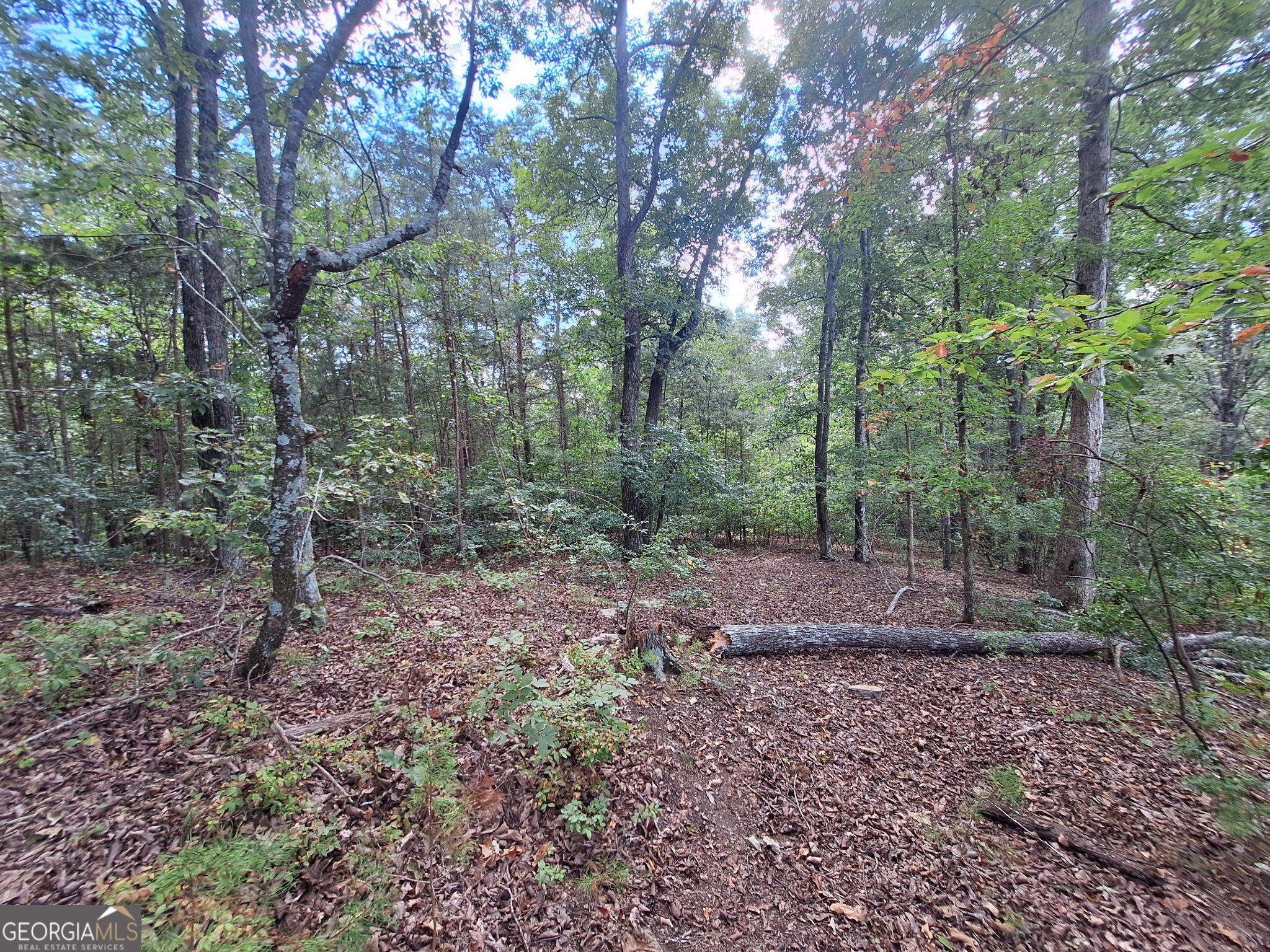 0 Highland Tree Court Property Photo 11