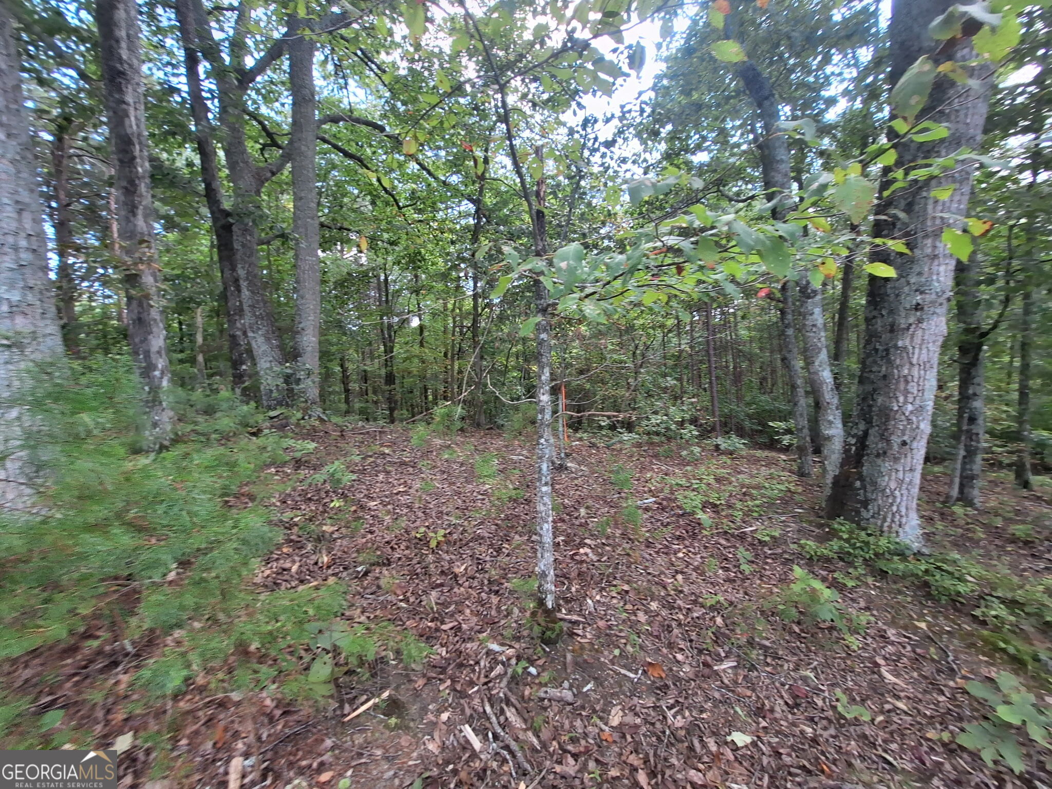 0 Highland Tree Court Property Photo 12