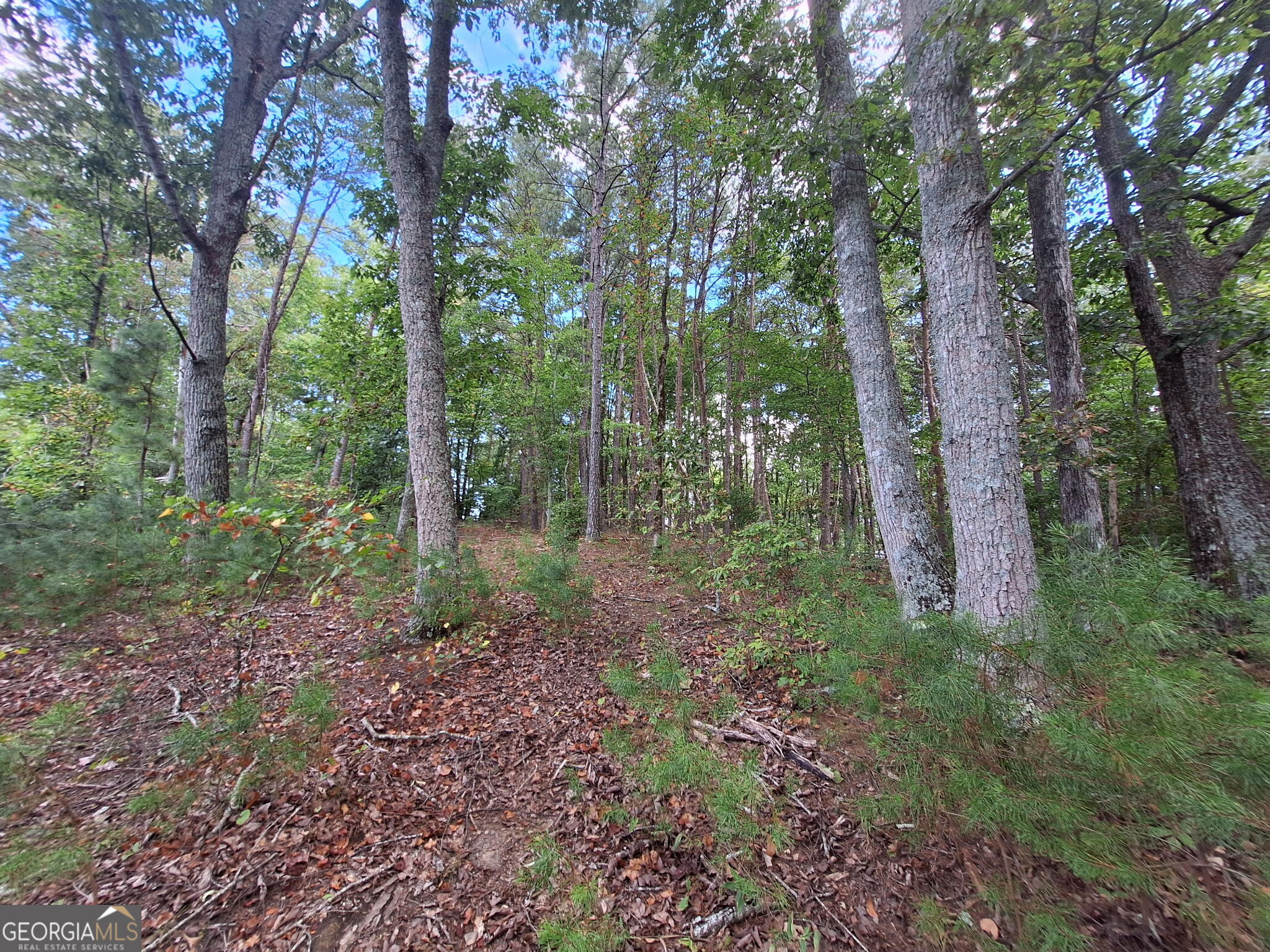 0 Highland Tree Court Property Photo 13