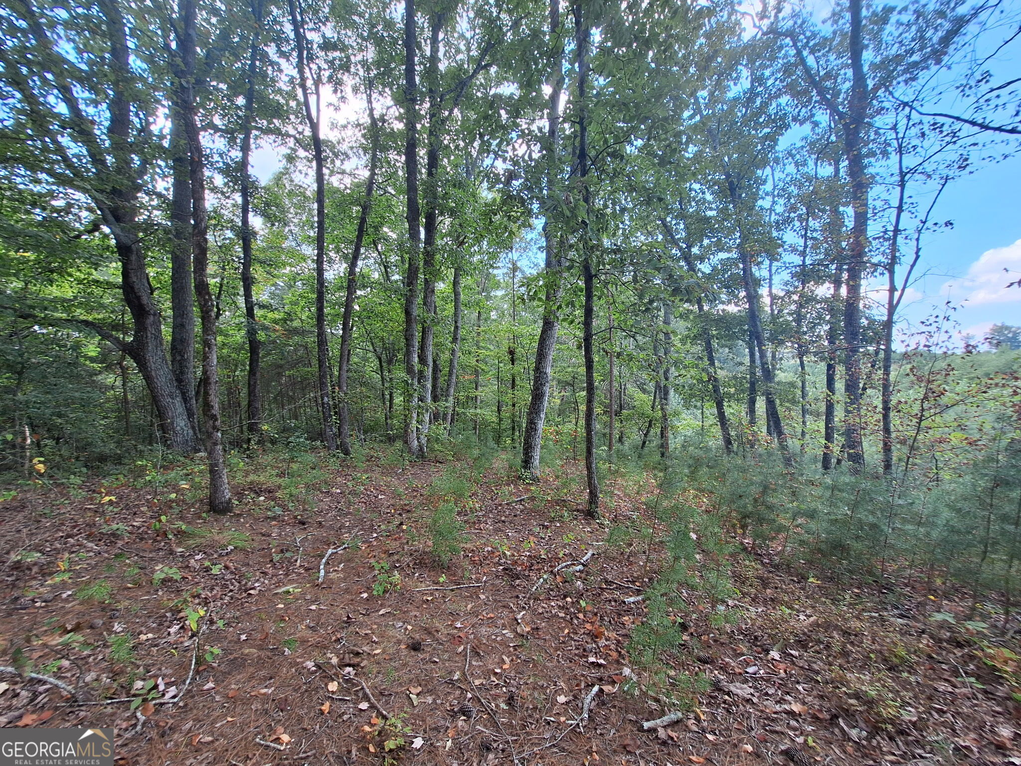 0 Highland Tree Court Property Photo 14