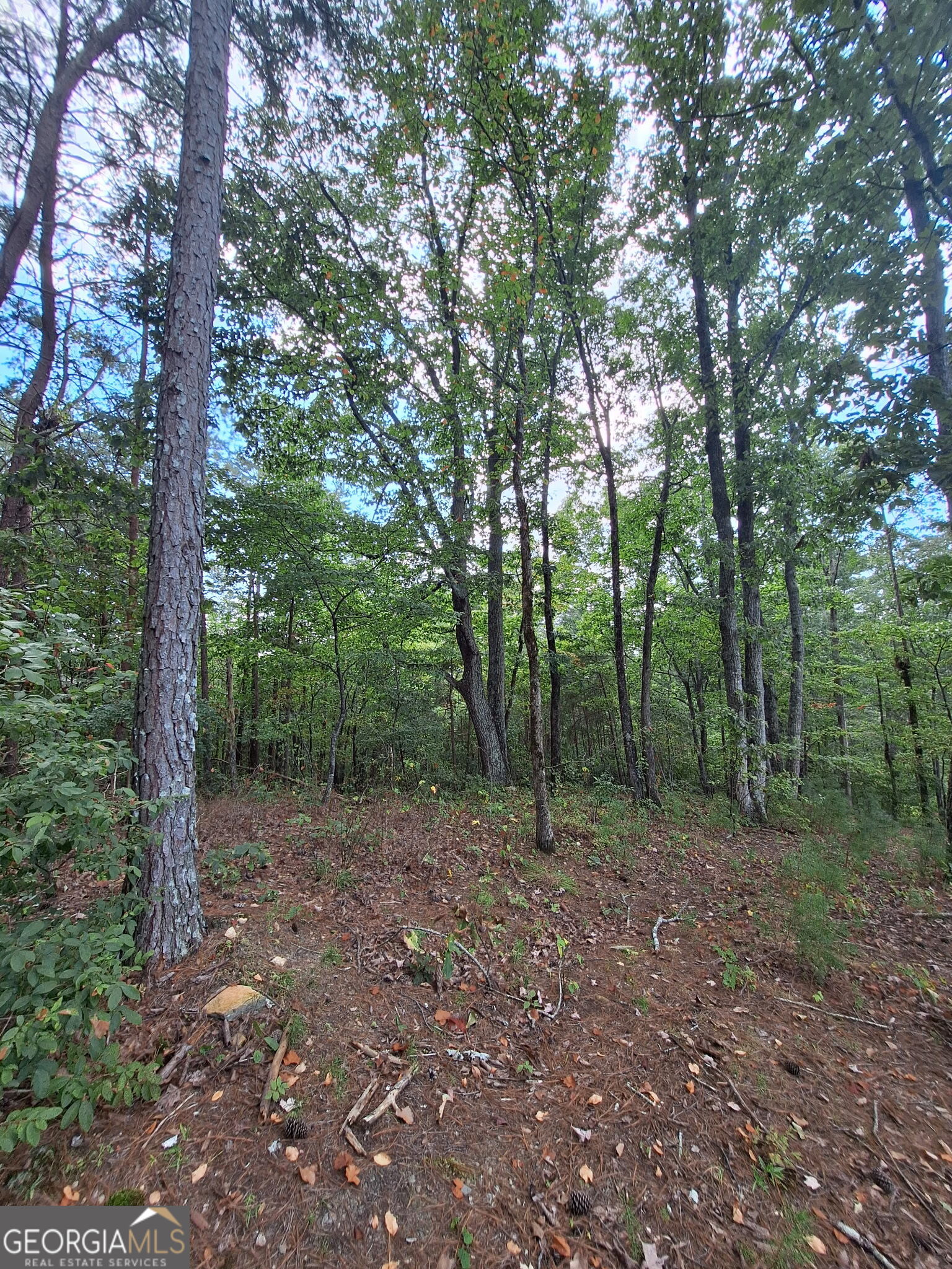0 Highland Tree Court Property Photo 15