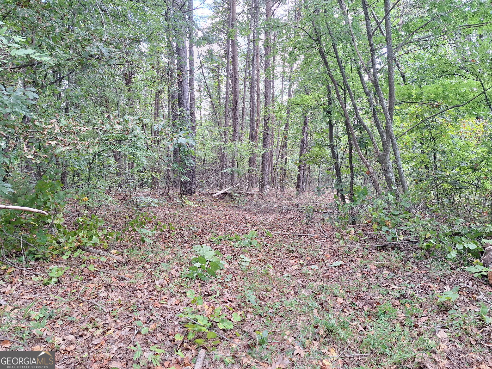 0 Highland Tree Court Property Photo 16