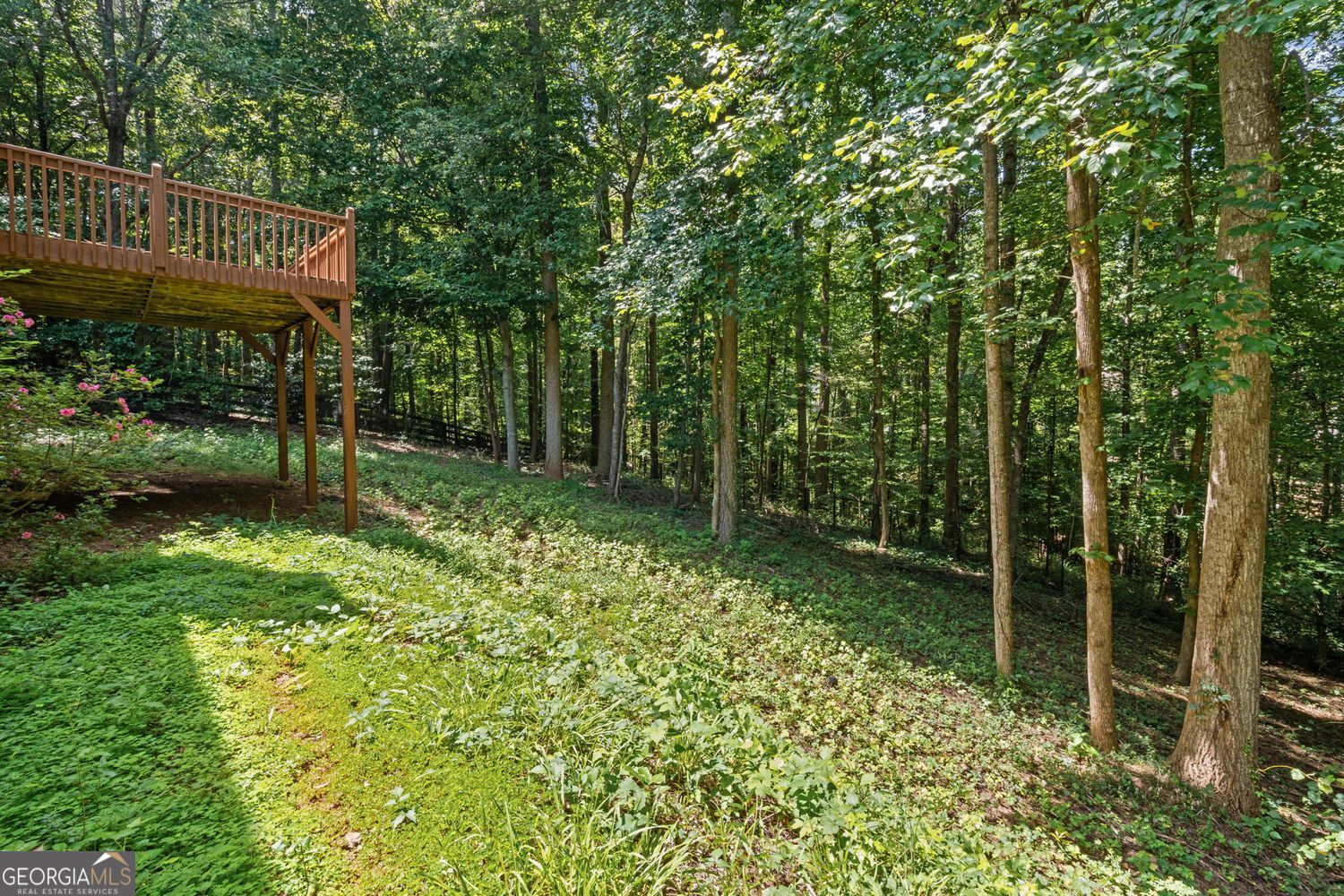 6225 Brook Hollow Creek Drive Property Photo 39