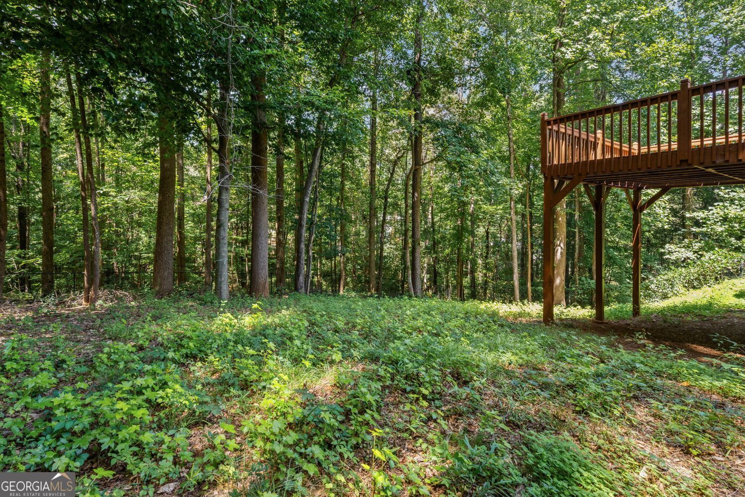 6225 Brook Hollow Creek Drive Property Photo 40